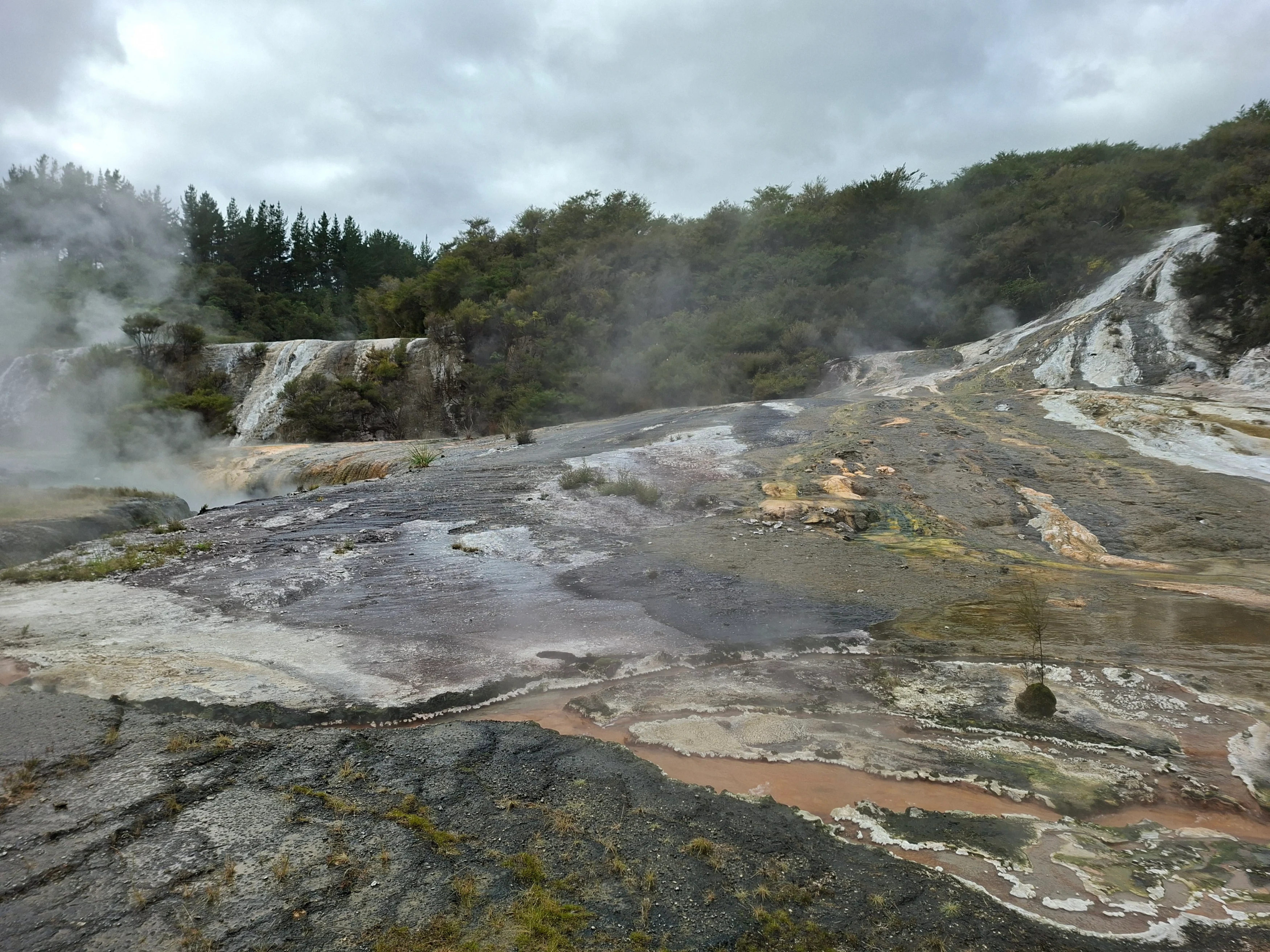 NZ - Famil 2025 - Rotorua - thermal park.webp