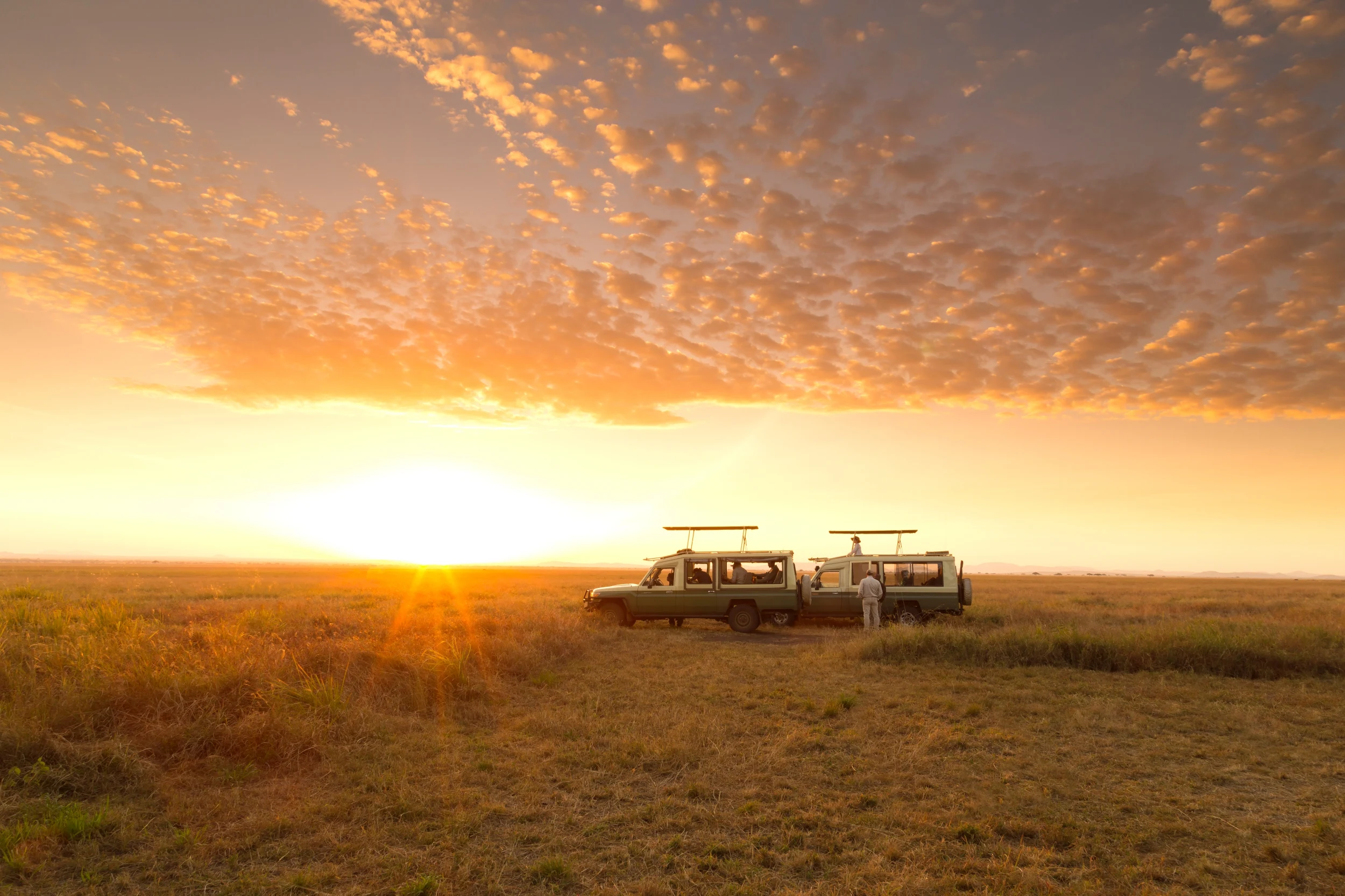 TZ-Serengeti Safari Camp-vehicles at sunset.webp