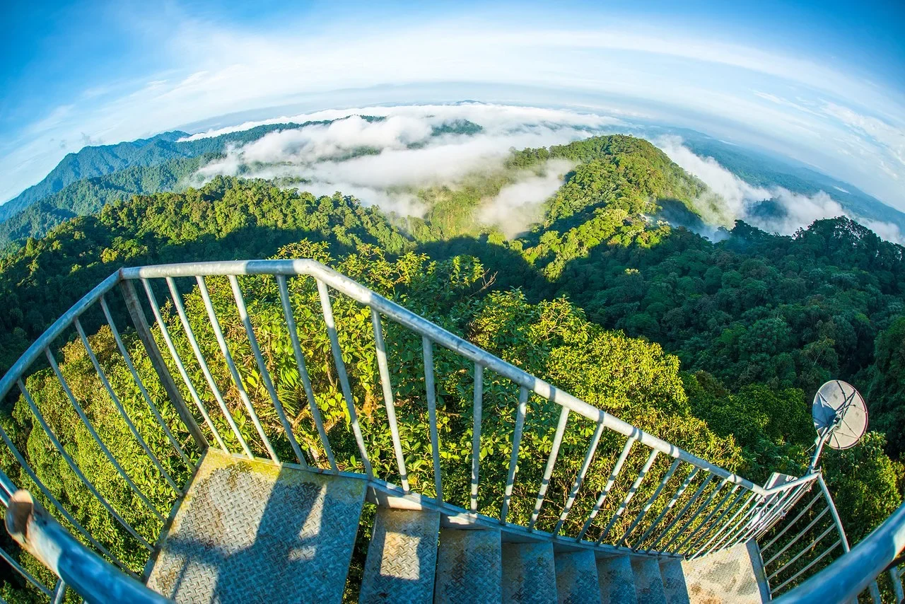EC - Mashpi-lodge - observation tower.webp