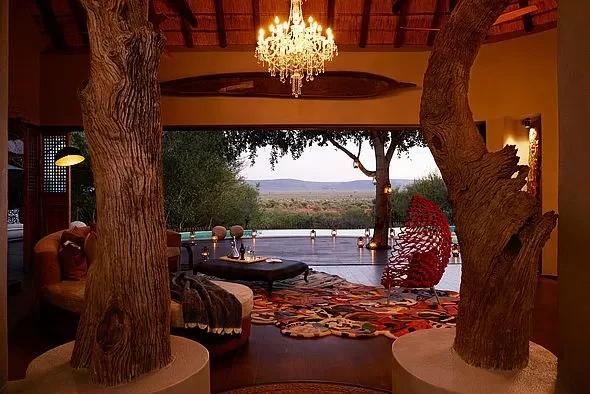 ZA-Accommodatie-Molori-Safari-basistekst.webp