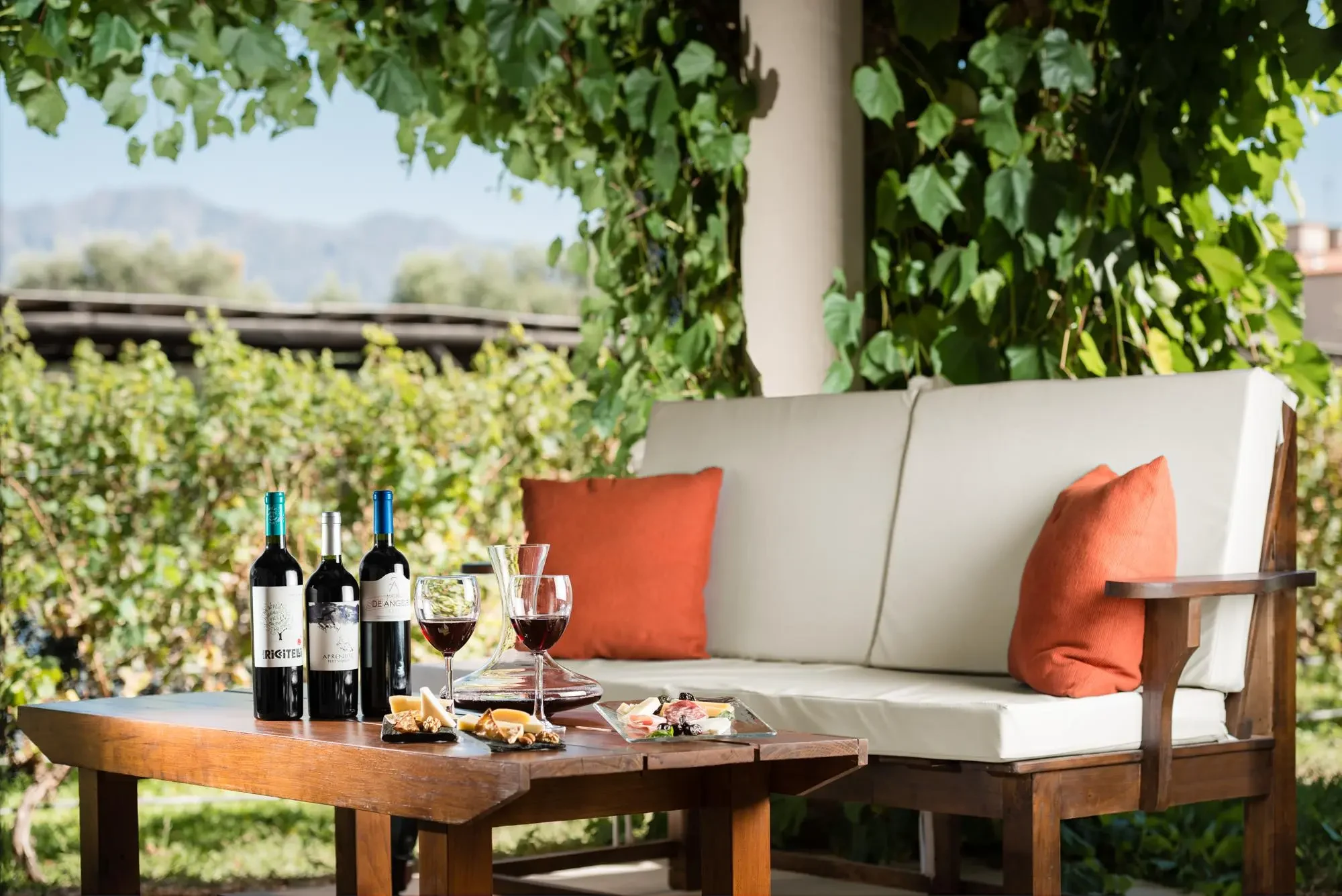 AR - accommodatie -Villa Mansa eten en drinken winetasting.webp