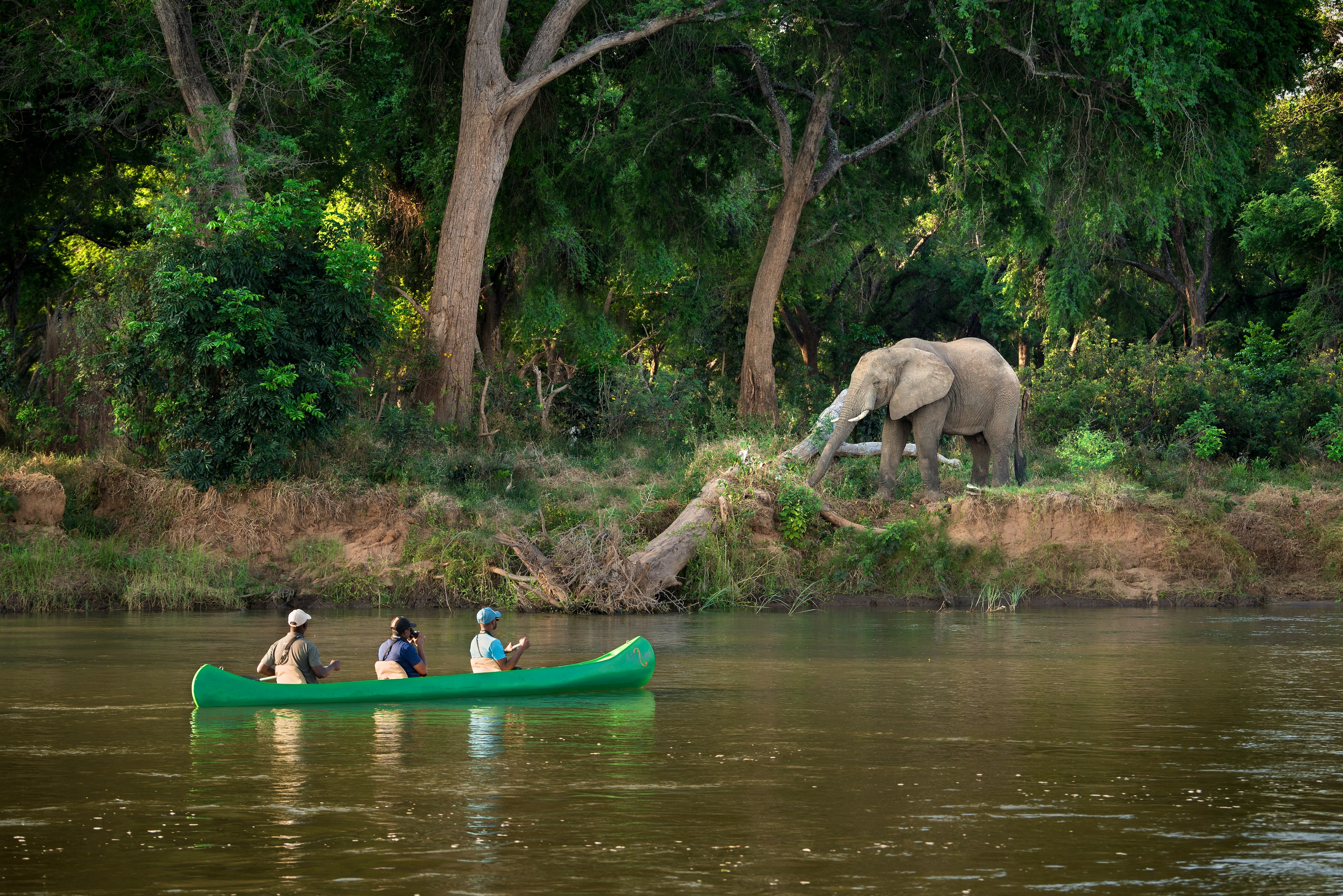 ZM-Lolebezi-cano elephant.jpg