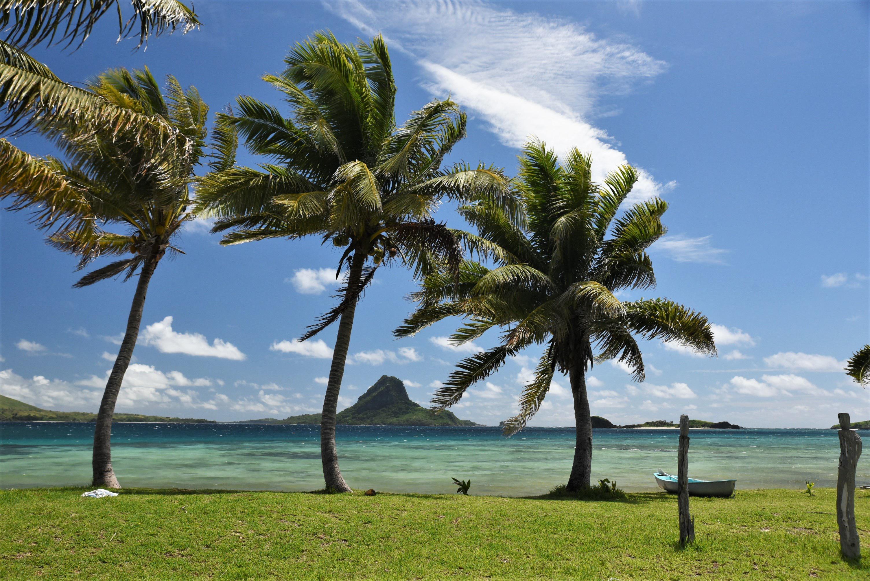 christophe-d-fiji-5357709.jpg