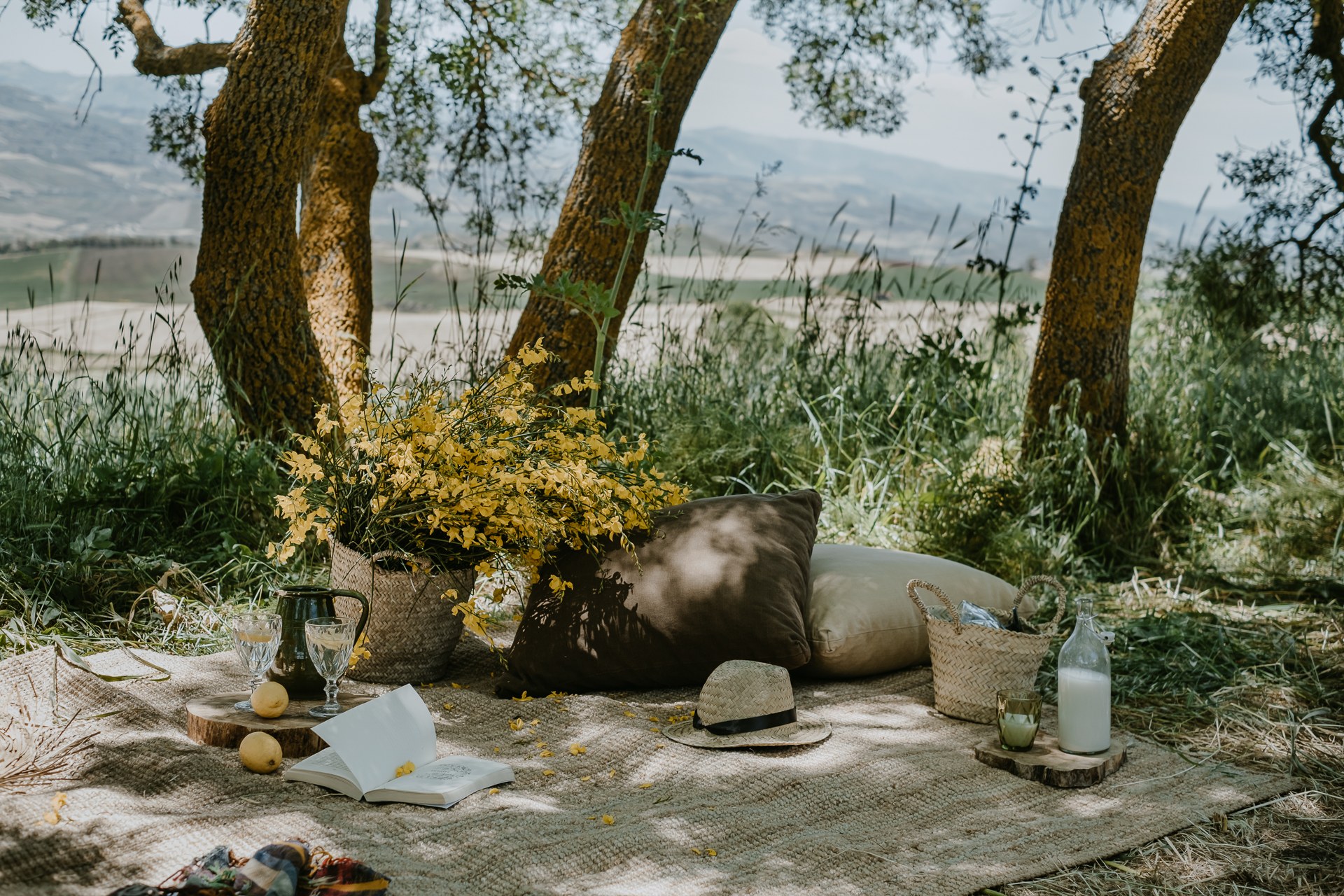 IT-Accommodatie-Susafa-Experiences picknick.jpg
