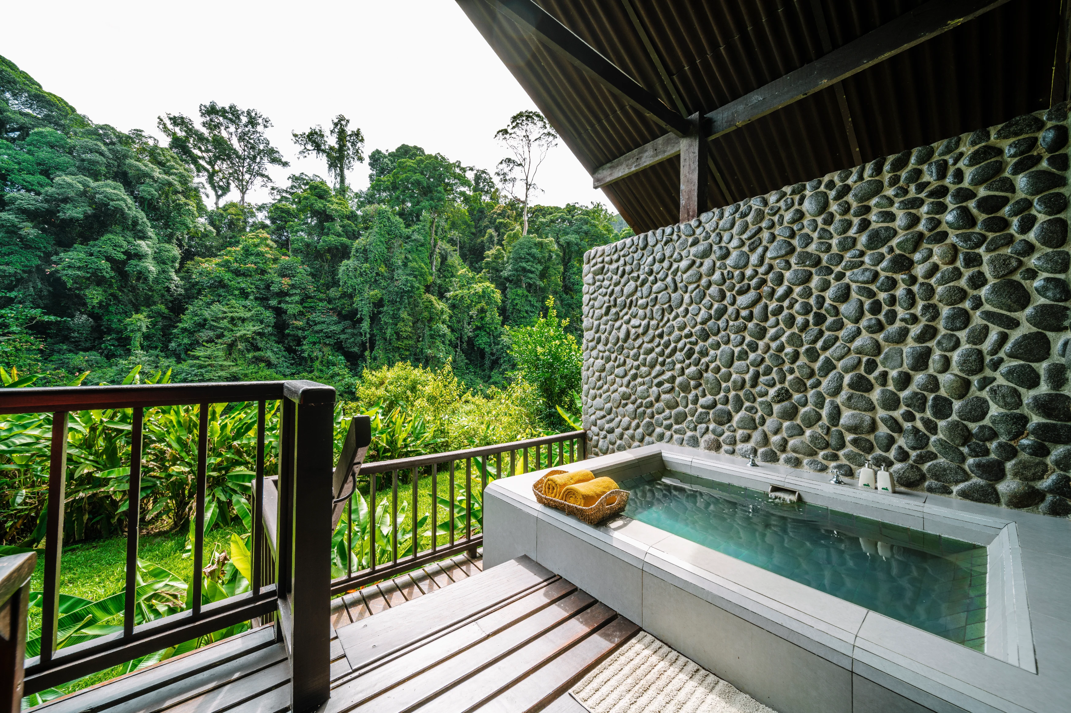 MY- Borneo Rainforest - Bath.webp