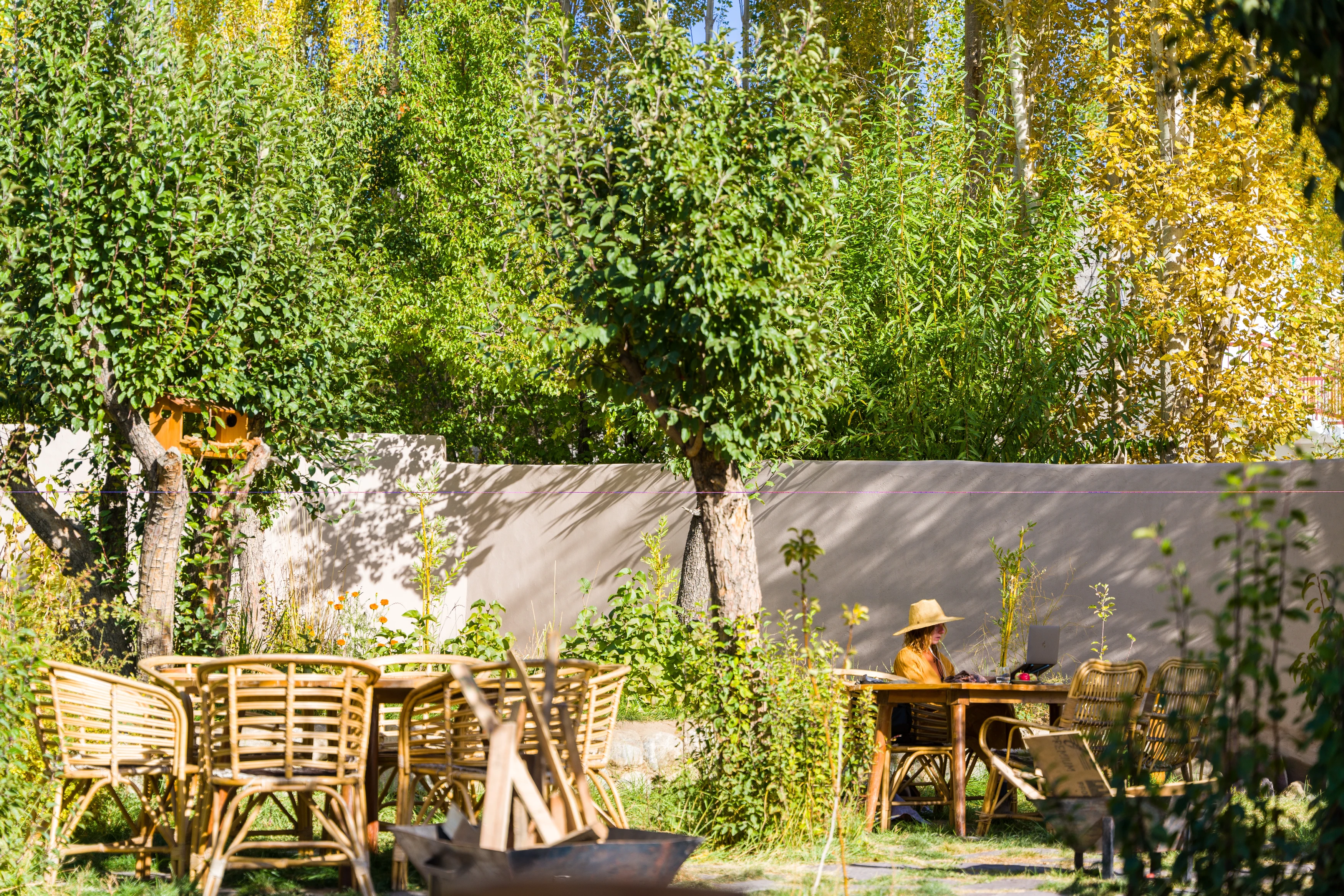 IN-accommodatie-Dolkhar-Ladakh-beleven.webp