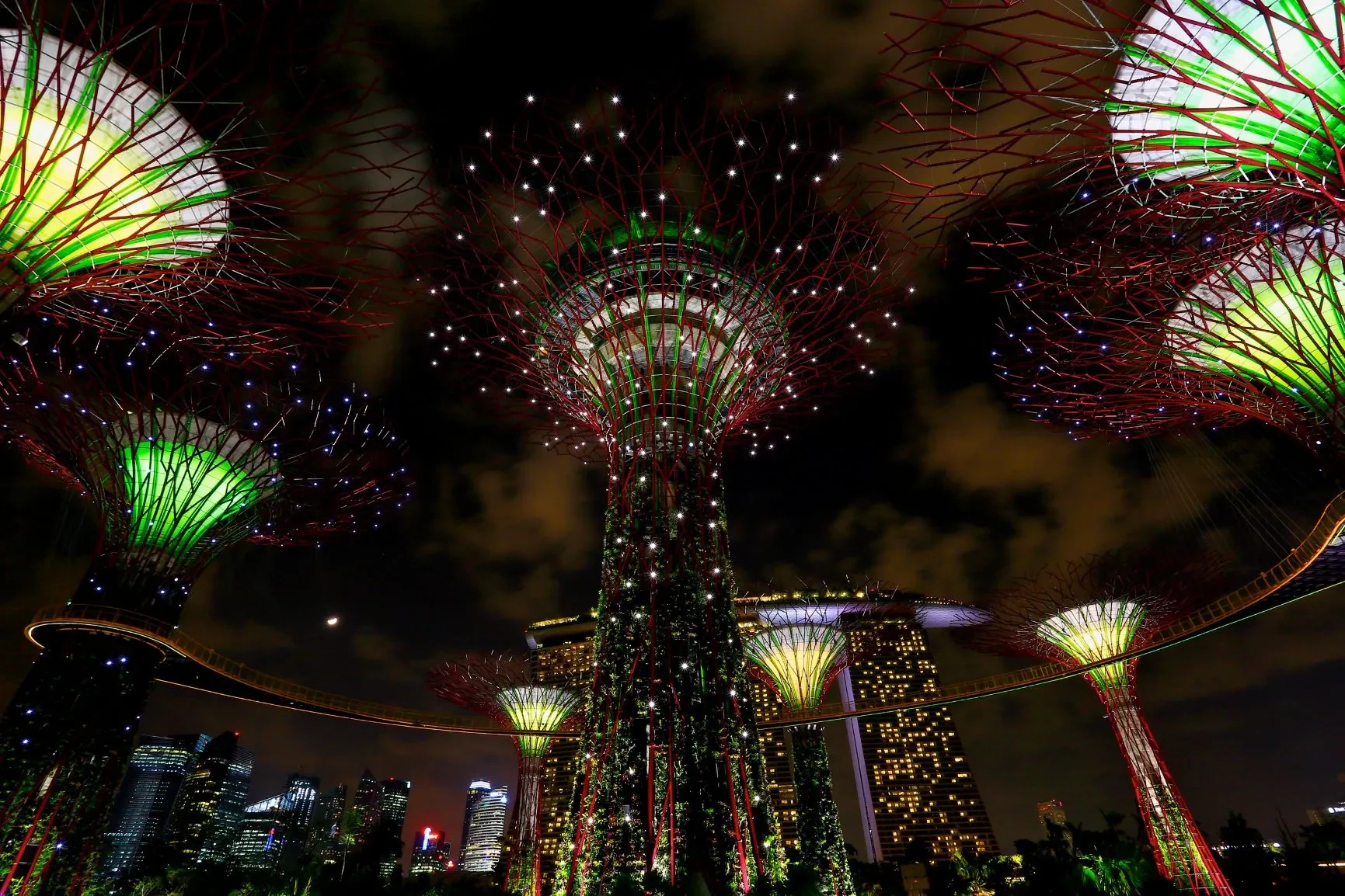 SG-Supertrees - Light and Sound Show.webp