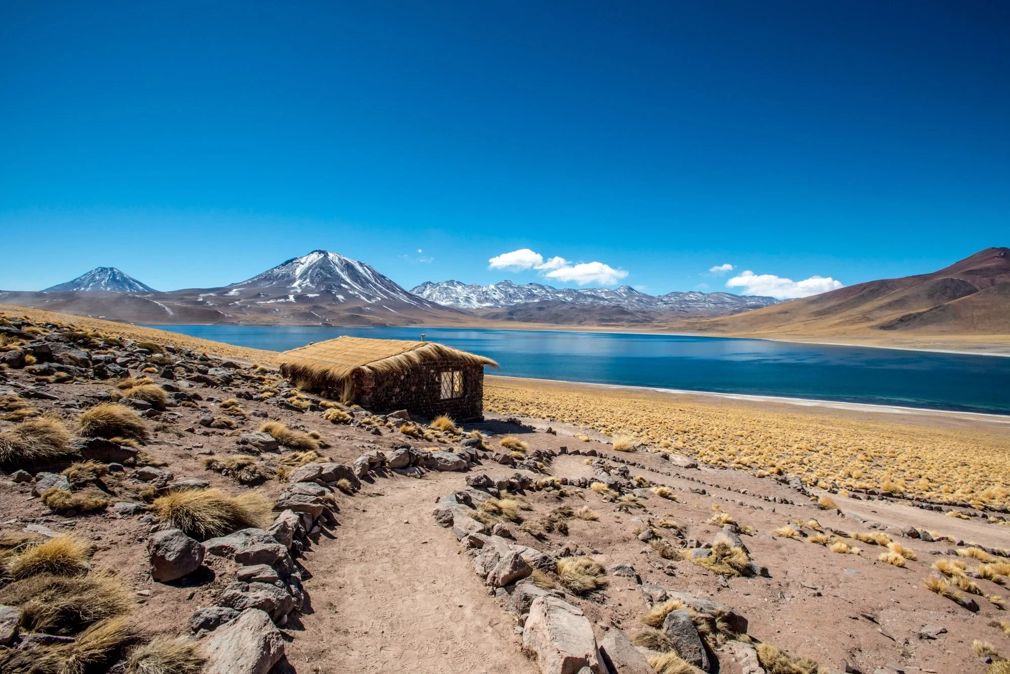CL - Alto Atacama  - landscape tour minique-miscanti-lagoon.webp