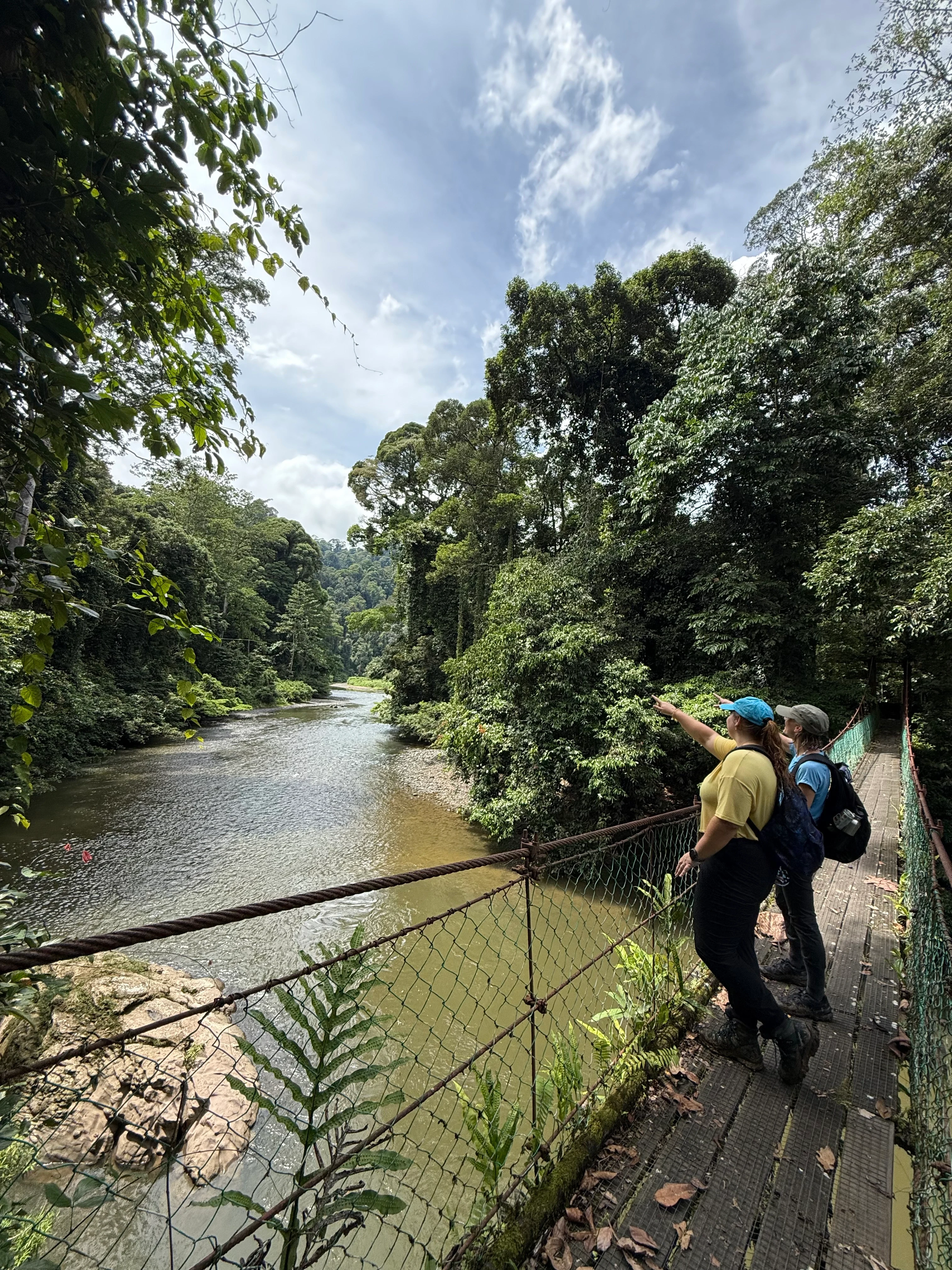 MY-accommodatie-Borneo-Rainforest-Lodge-beleven.webp