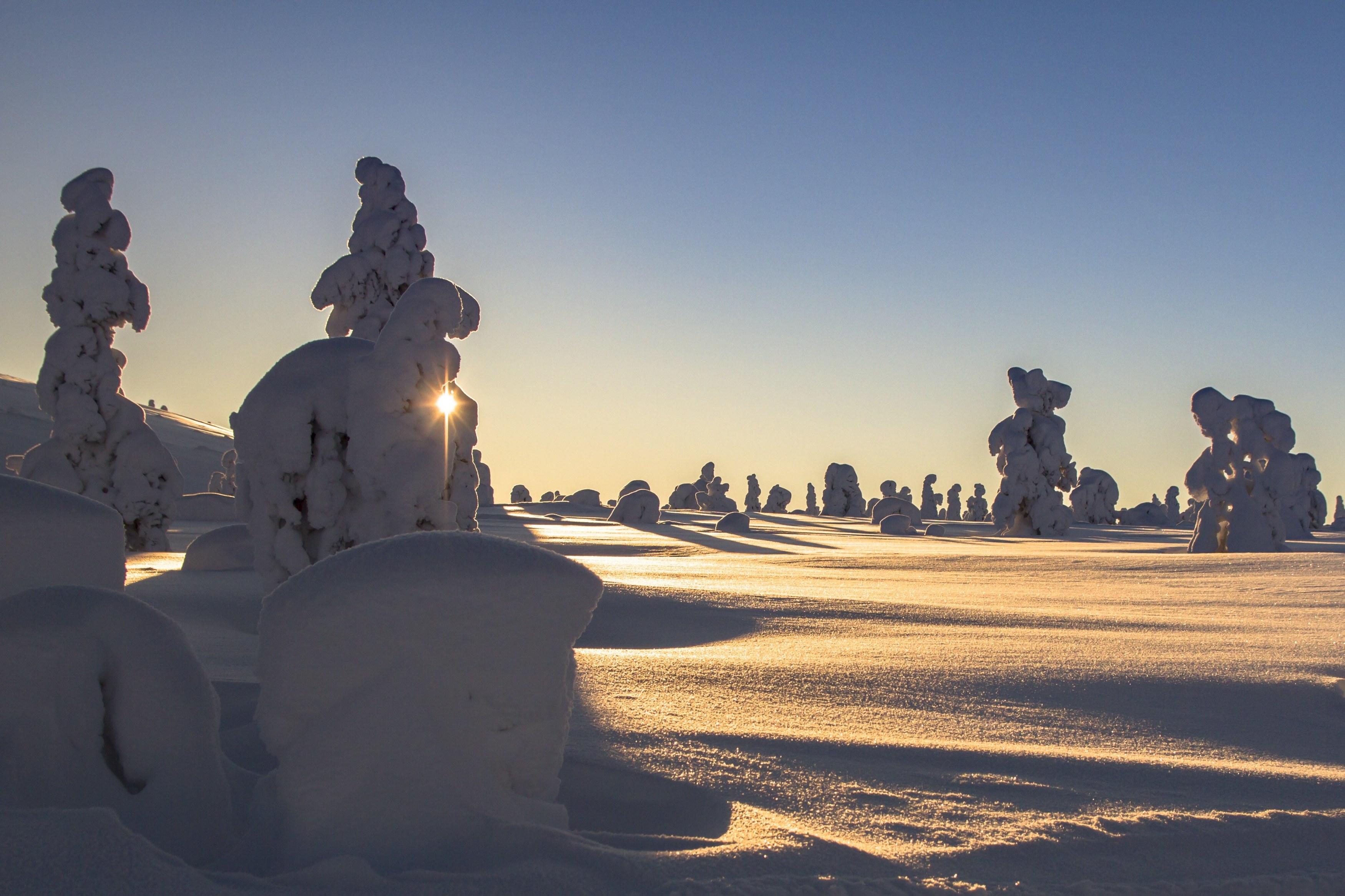 adege-lapland-2984828.jpg