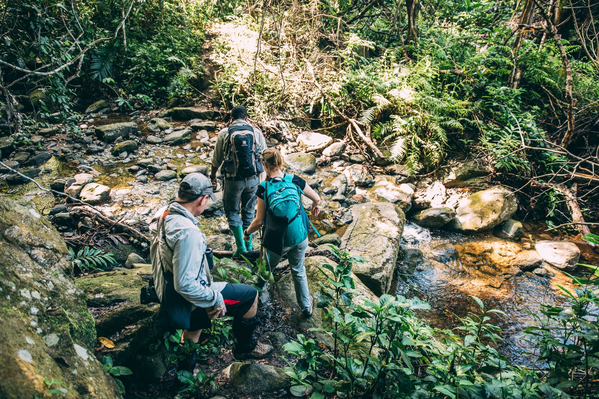 TZ-Greystoke Mahale-tracking in the mountains.jpg