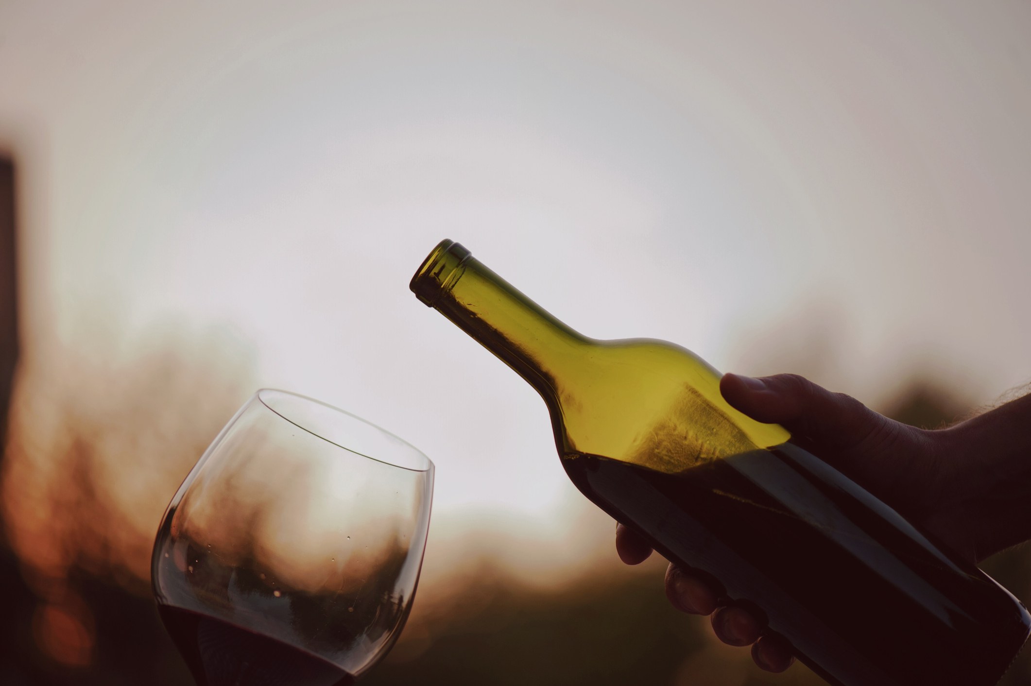 HR - Brac - Excursie - Winemaker's Dinner.jpg