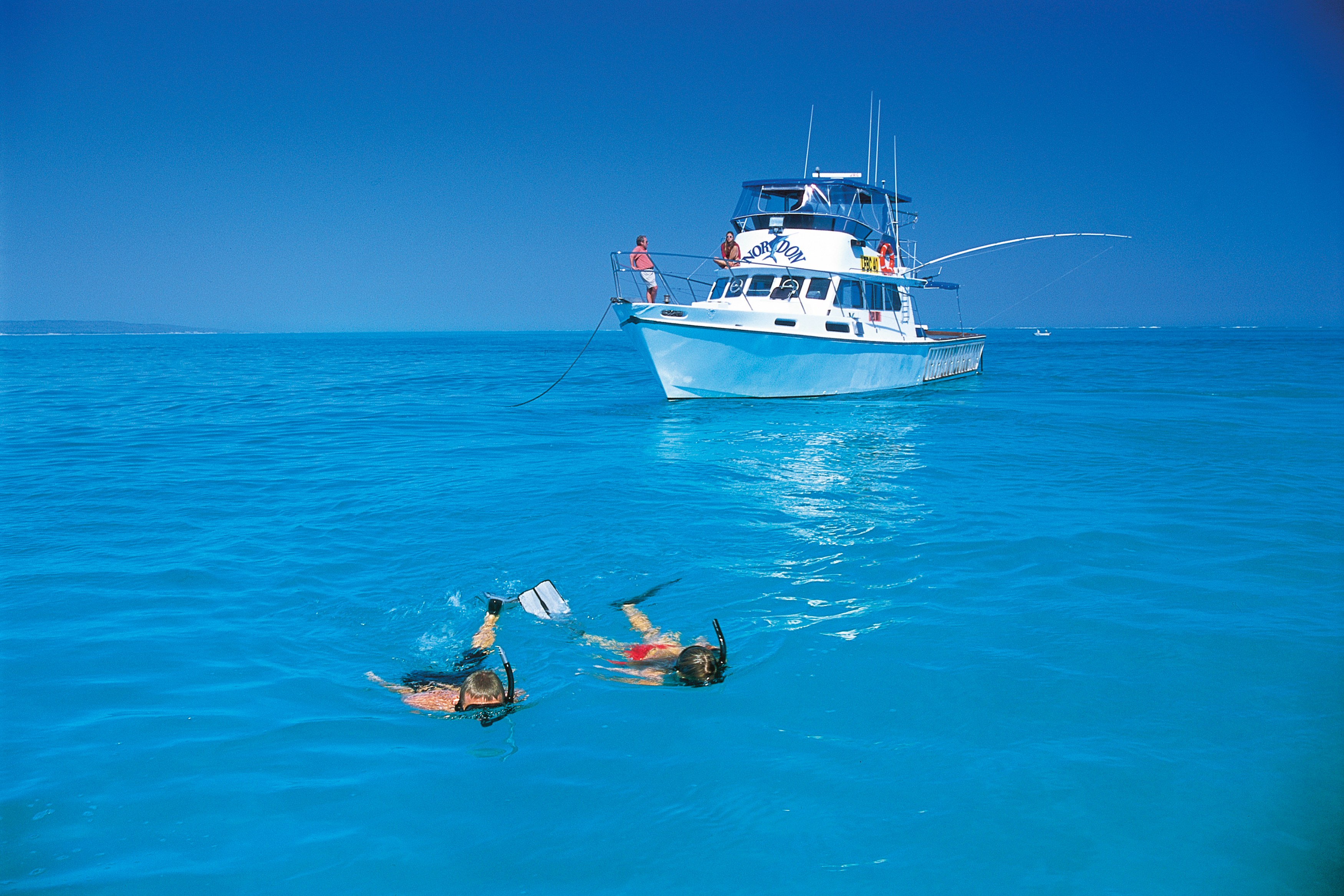 AU - Sal Salis - Snorkeling at Ningaloo.jpg