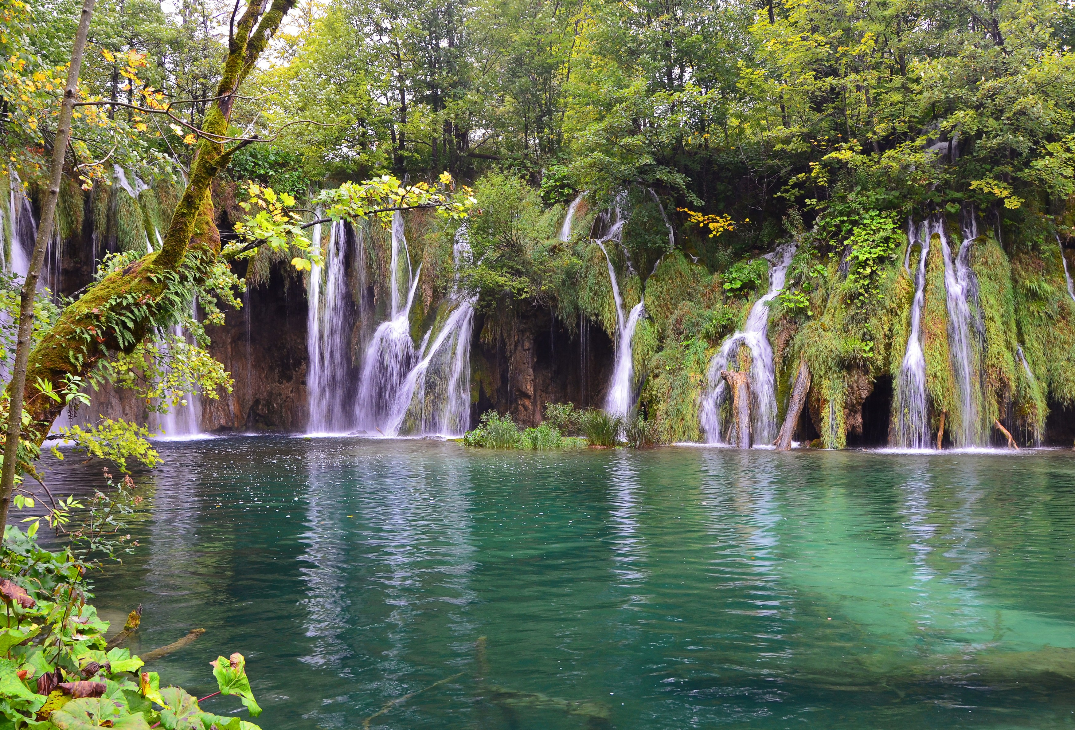 veronikasz-plitvice-2637917.jpg