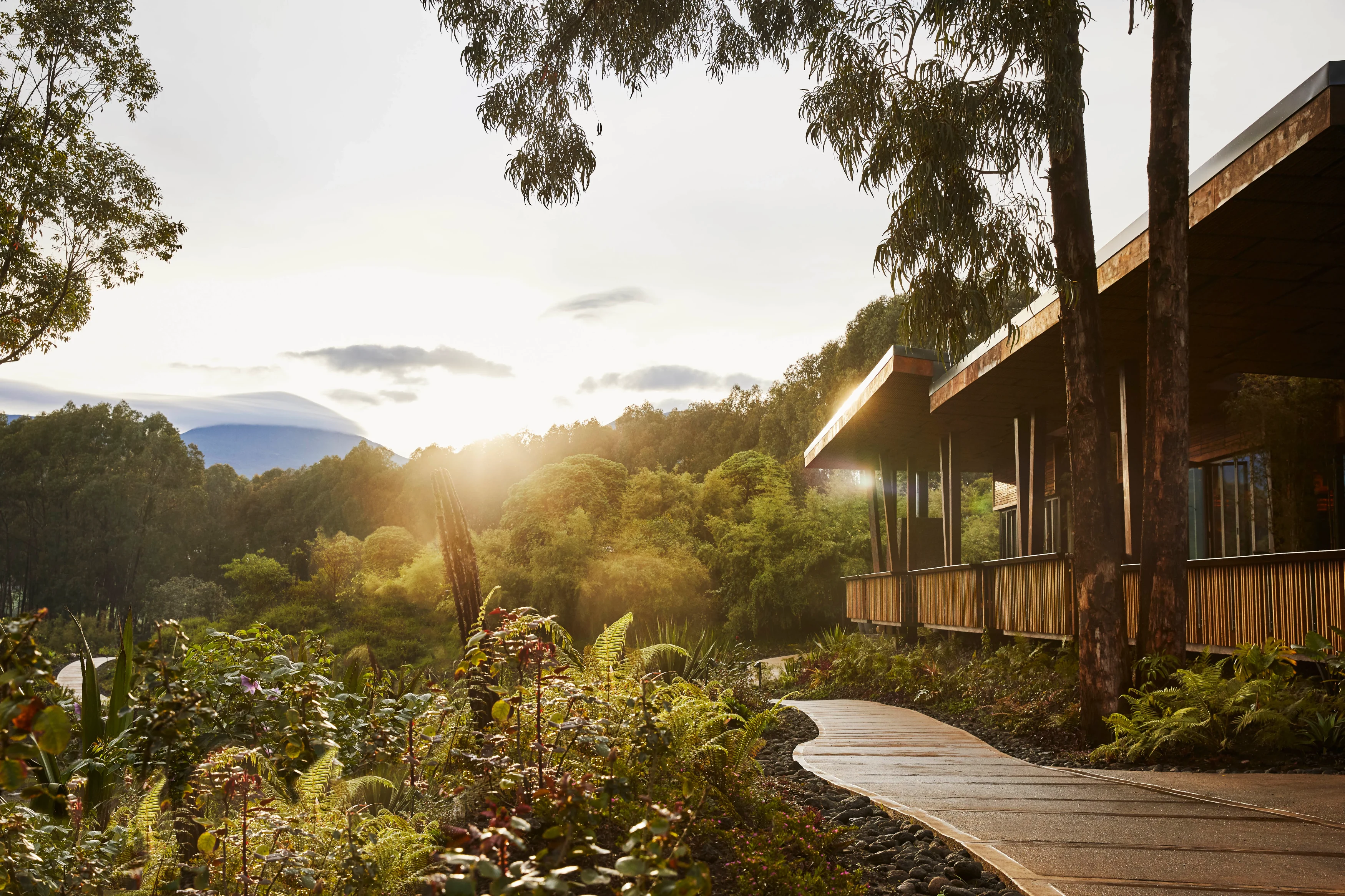 RW - One&Only Gorillas Nest-Exterior_Pathway_.webp