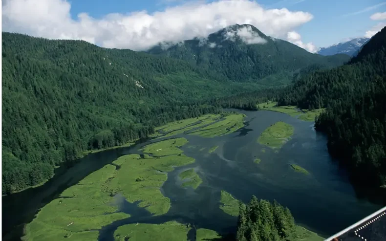 CA - Great Bear Lodge - Great Bear Rainforest.webp