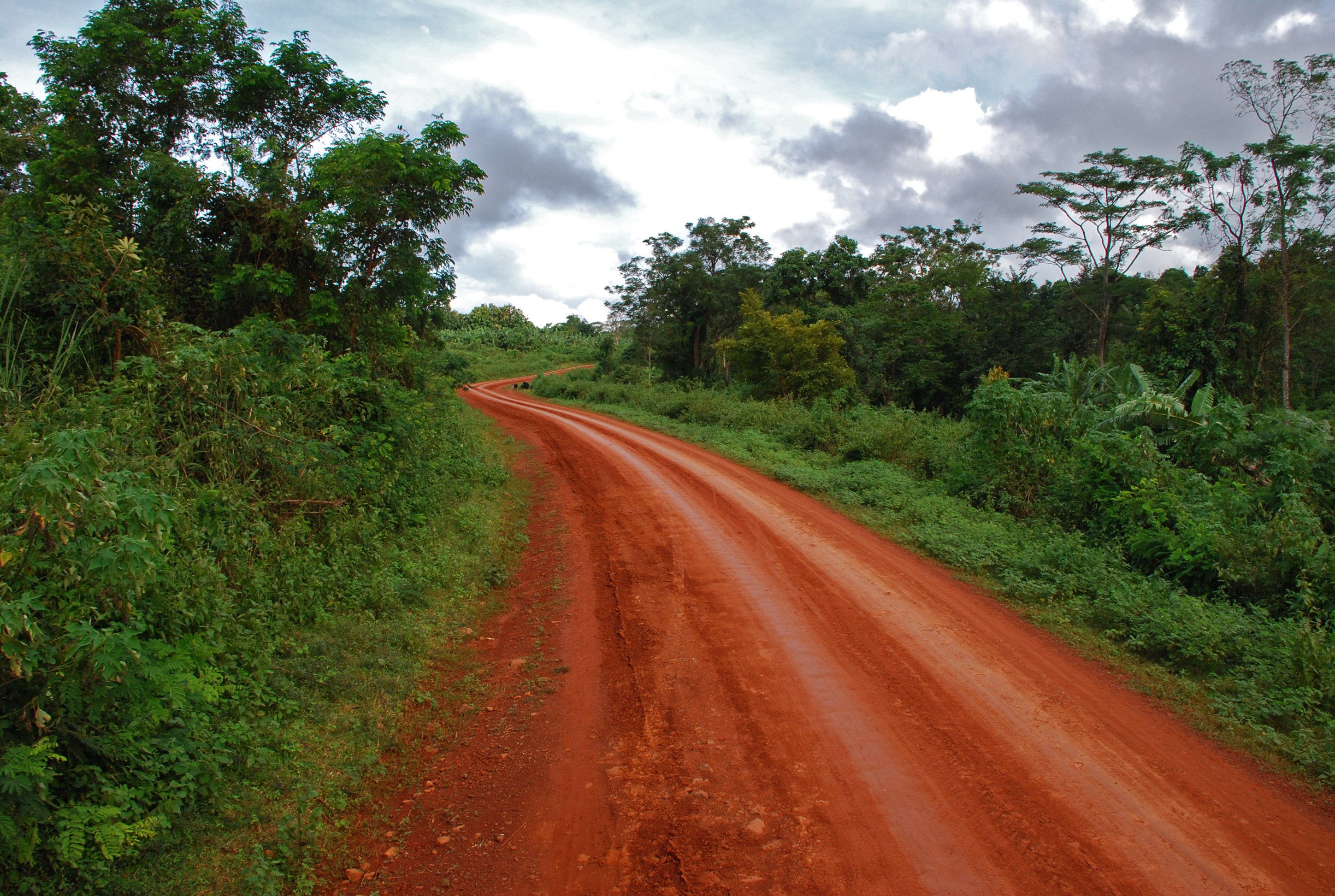 LA - Boloven Plateau Loop -  Road.jpg