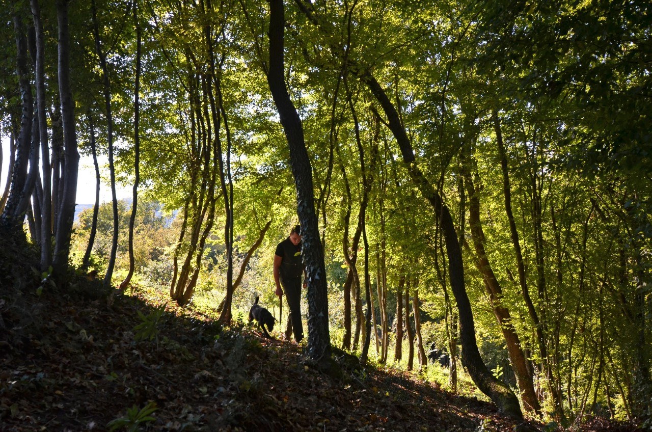 HR - Rovinj - Excursie - Truffeljacht Istrie 2.jpg