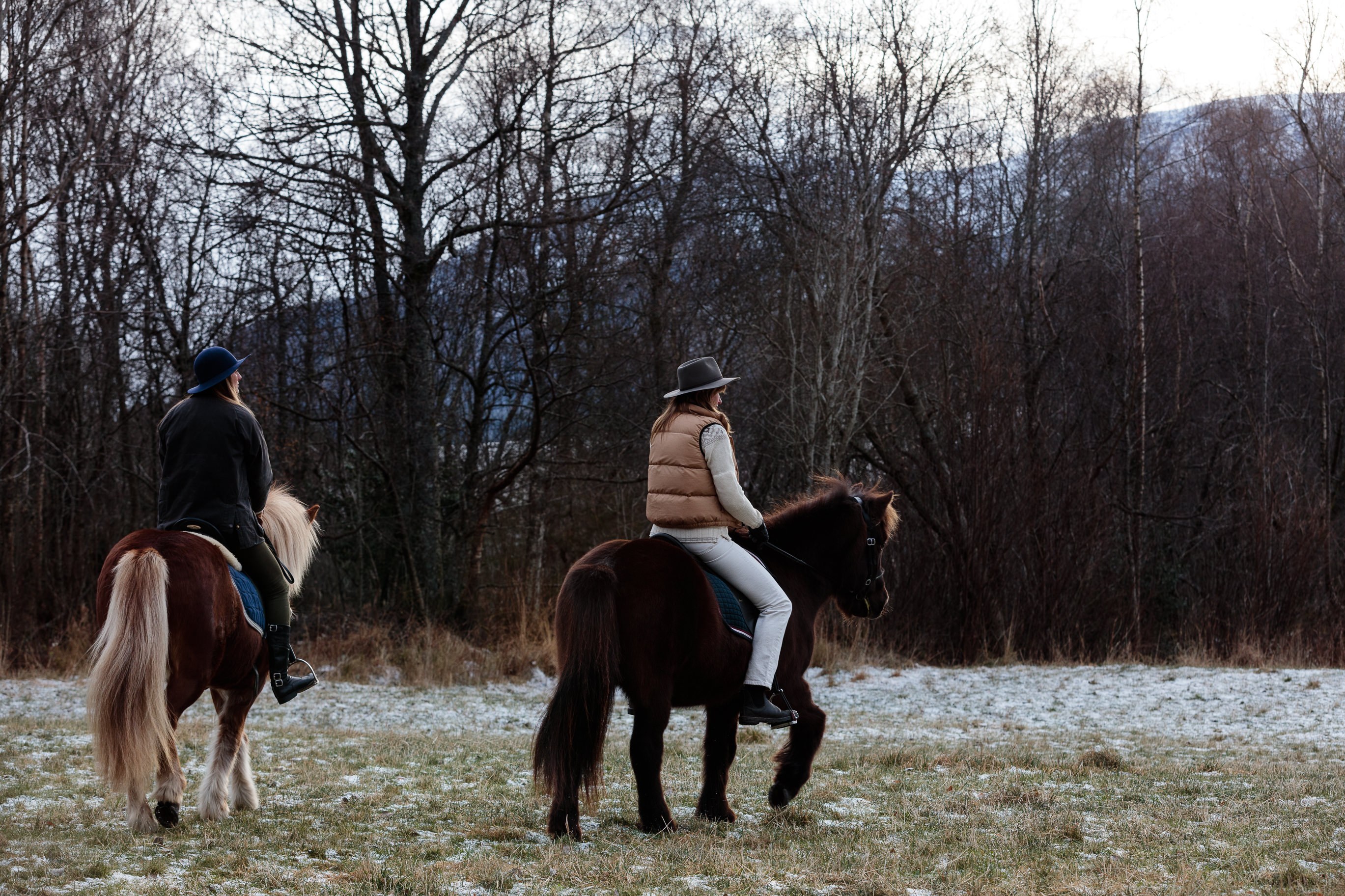 NO - Horse riding (1).jpg