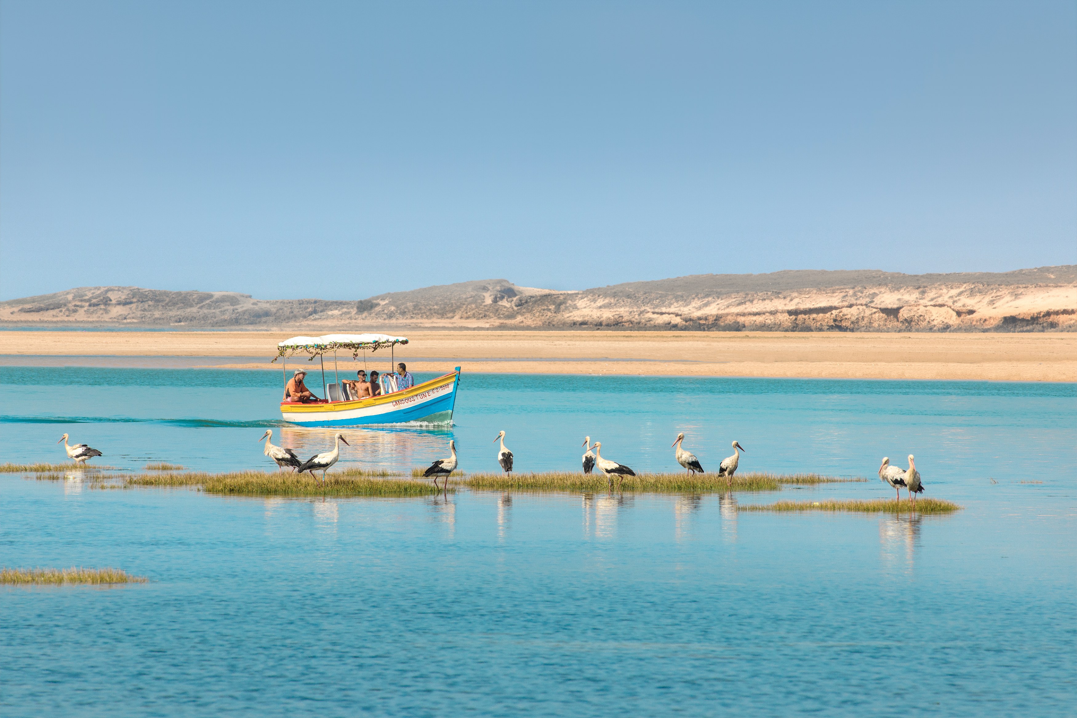 MA-Excursie-Boottocht-lagune-header.jpg