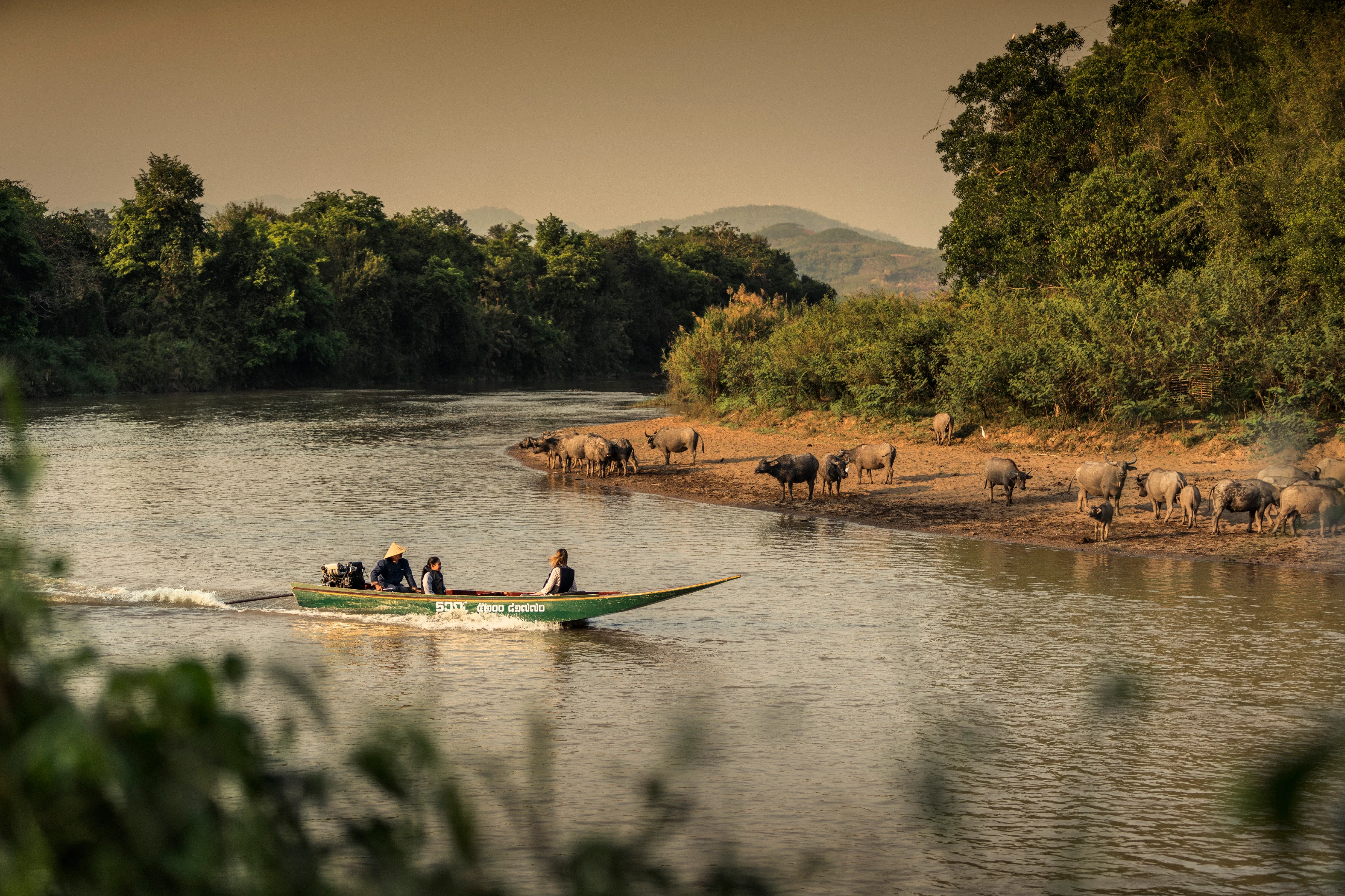 TH-Four Seasons Golden Triangle-River.webp