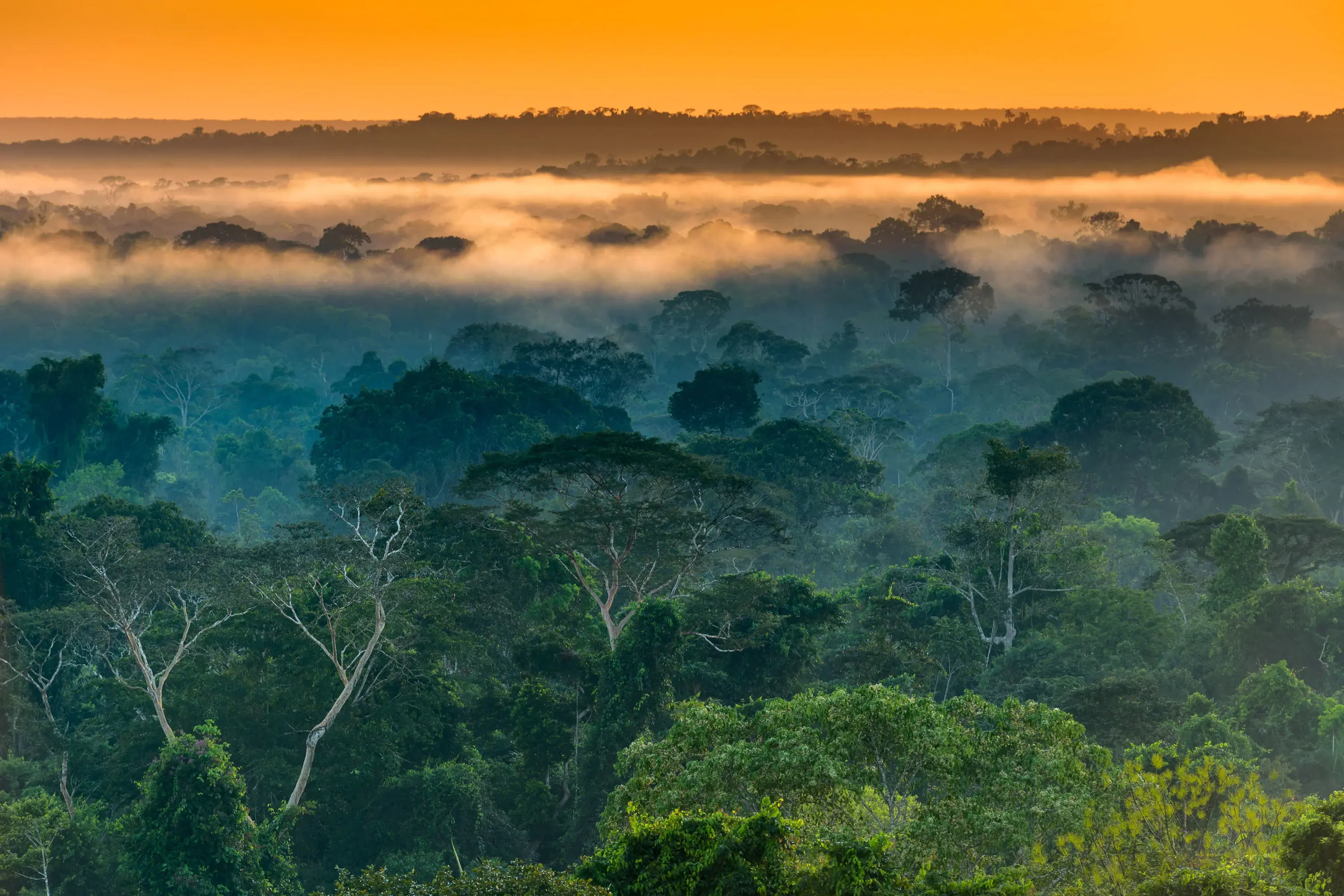 BR-Cristalino-Jungle-Lodge-View.webp