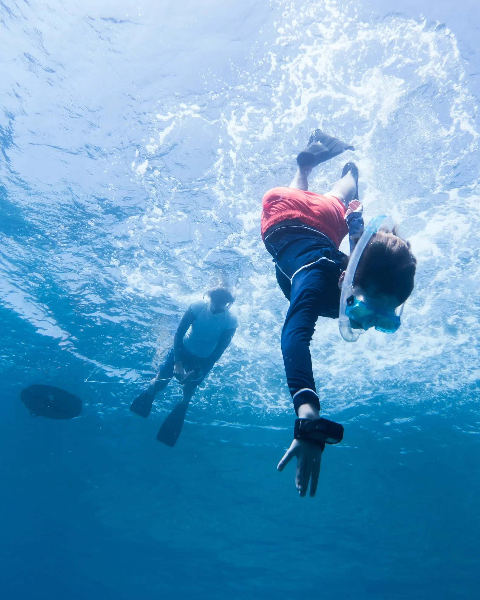 MV-Six Senses Laamu-Junior Biology.webp