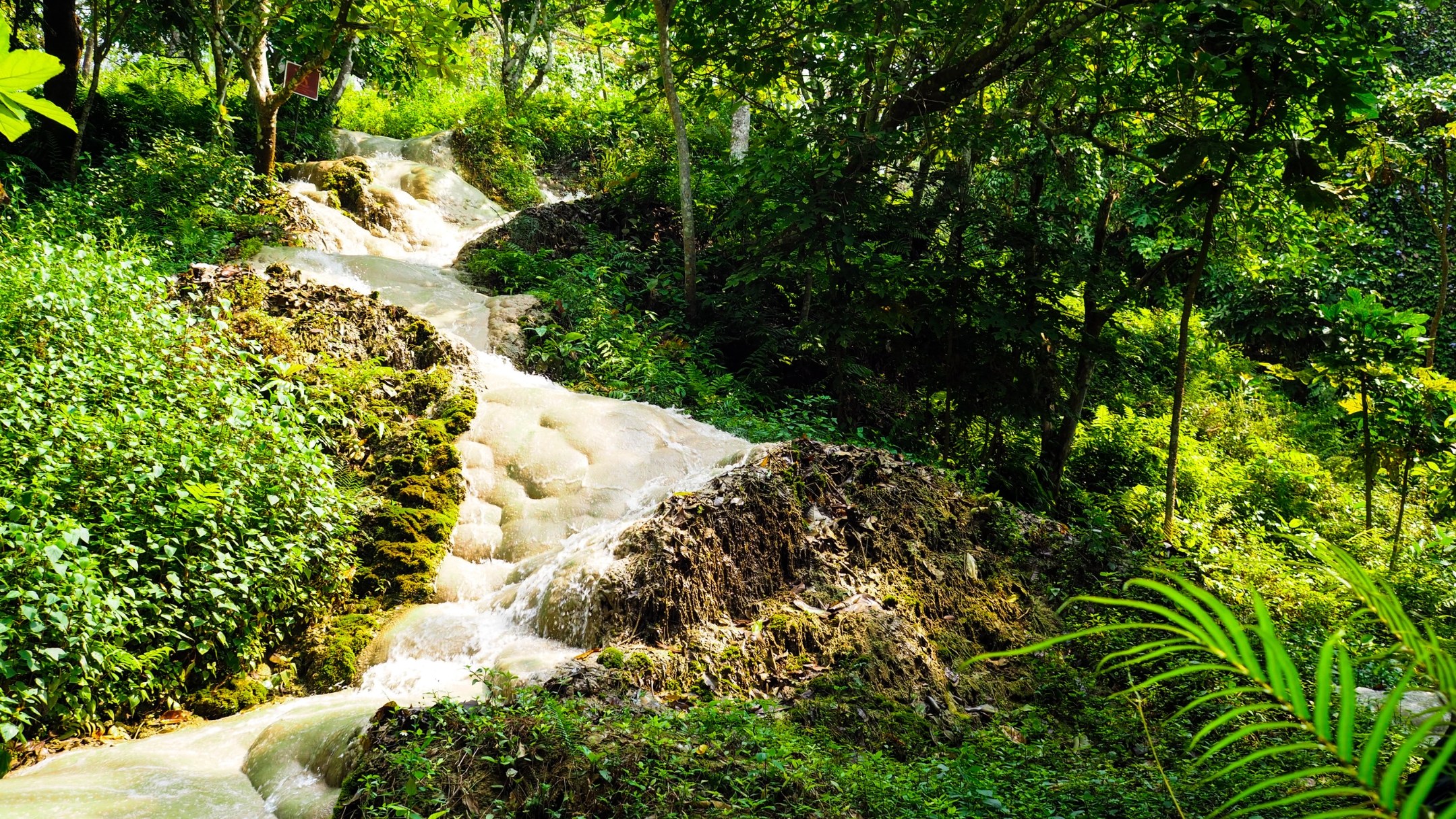 TH-Excursie-sticky-waterfall.jpg