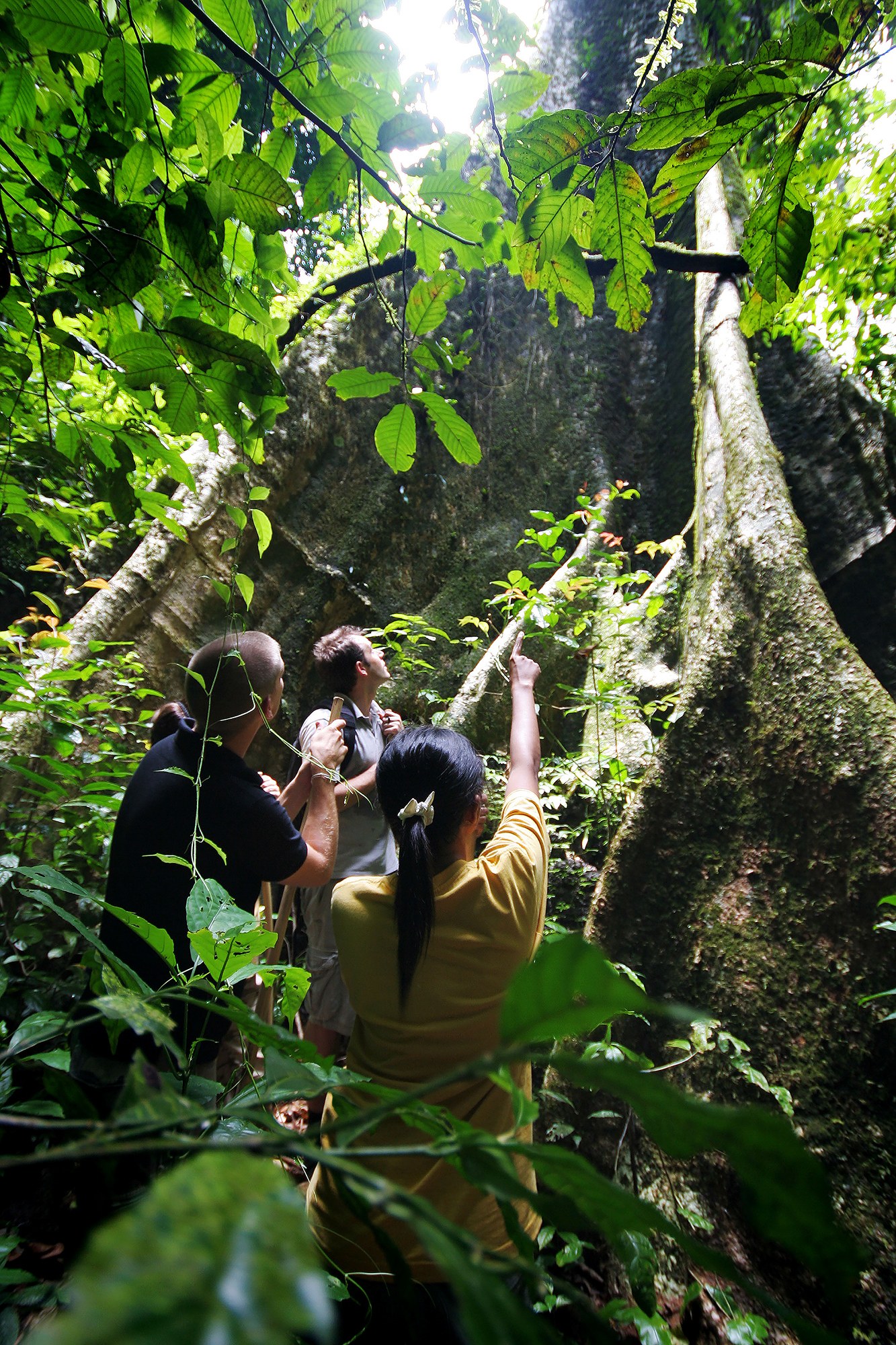 t Elephant Hills Luxury Tented Camp Khao Sok National Park Thailand Activities Jungle Trekking 1.jpg
