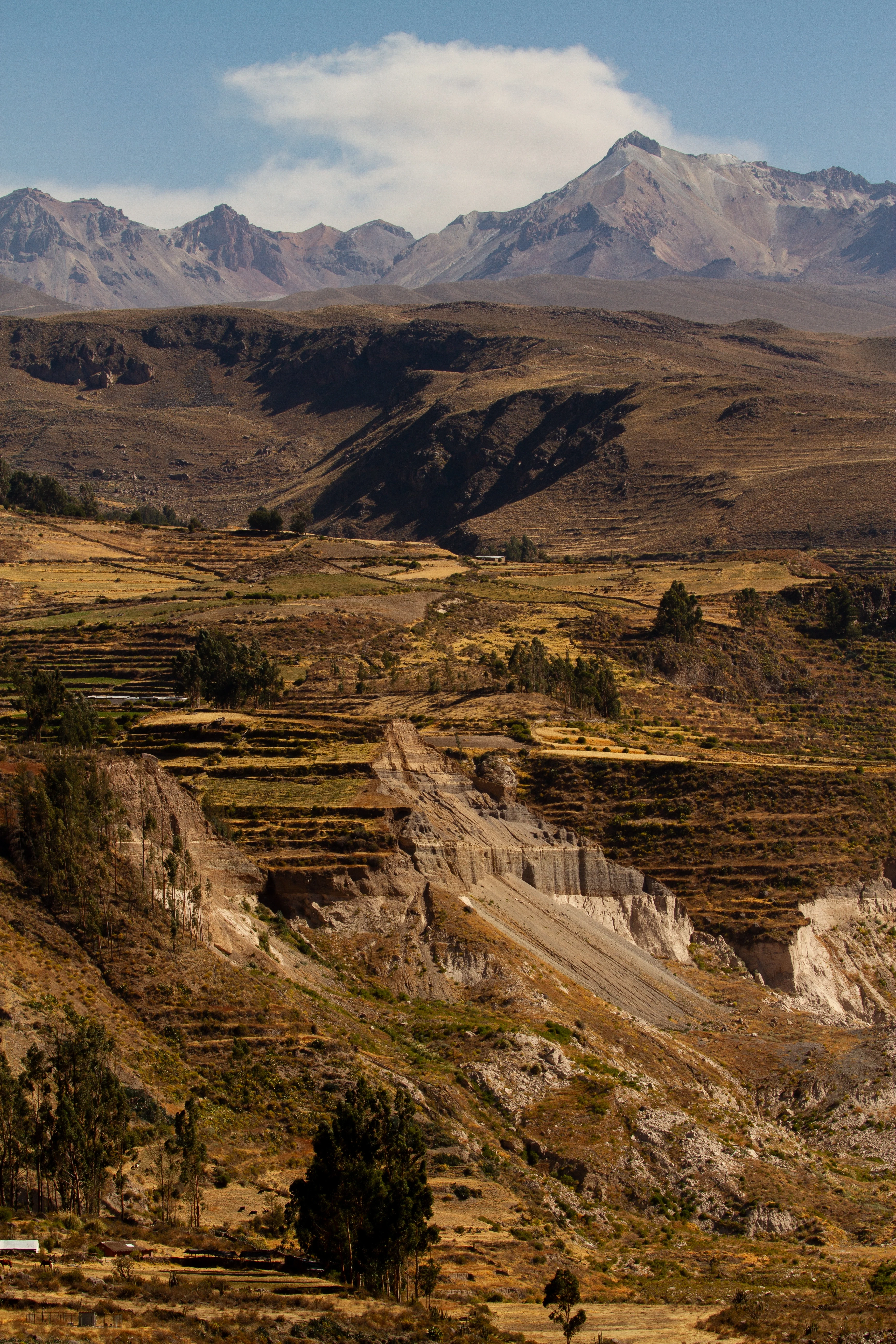 PE - Accommodatie - PUQIO- nature (2).webp