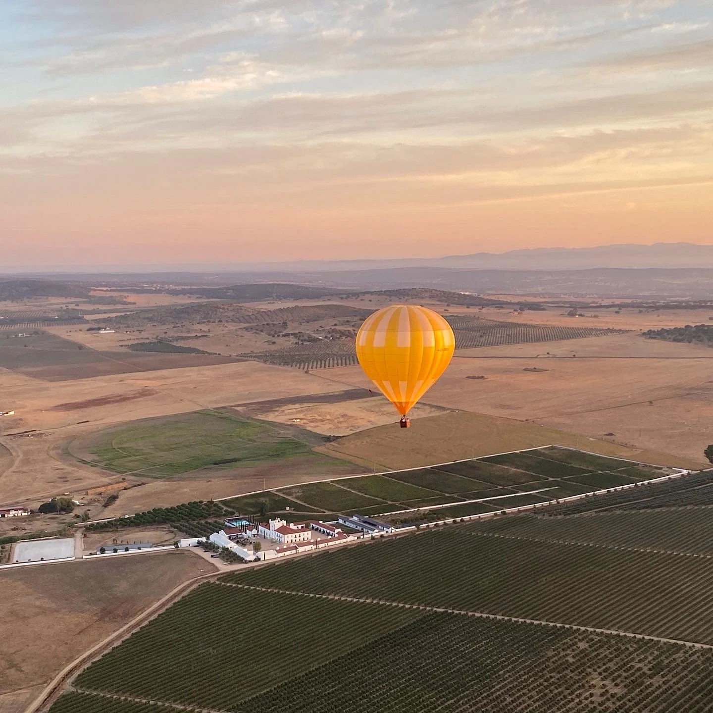 PT - Torre de Palma - Hot Air Balloon (1).webp