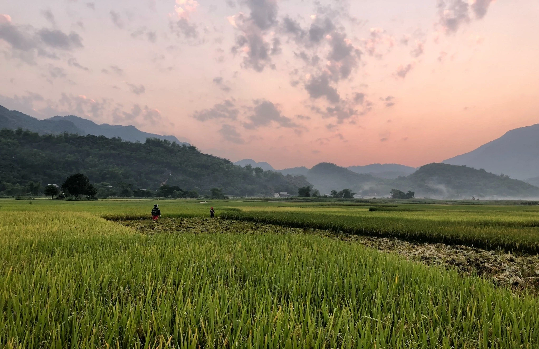 VN - Avana Retreat - Surroundings.webp