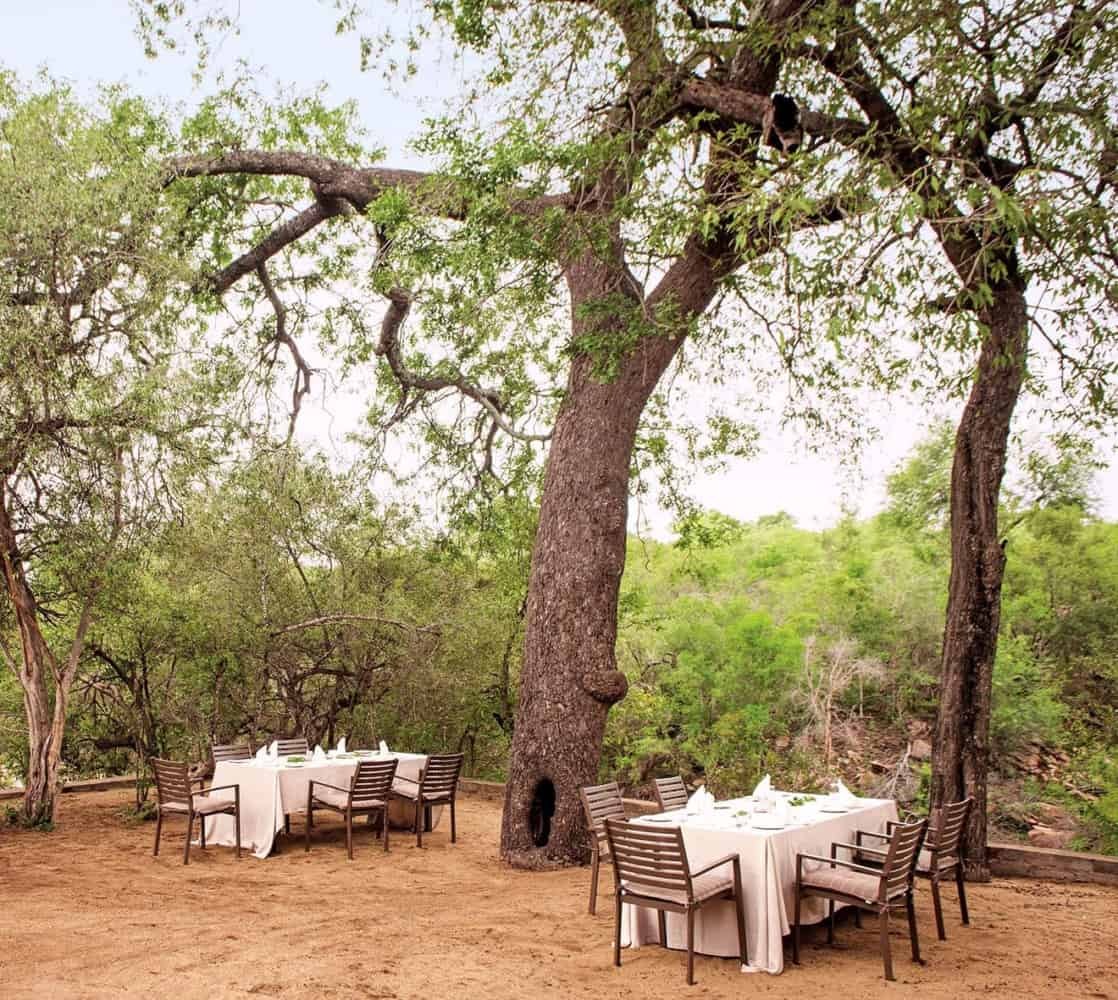 ZA- leopard hills - dining tree.jpg