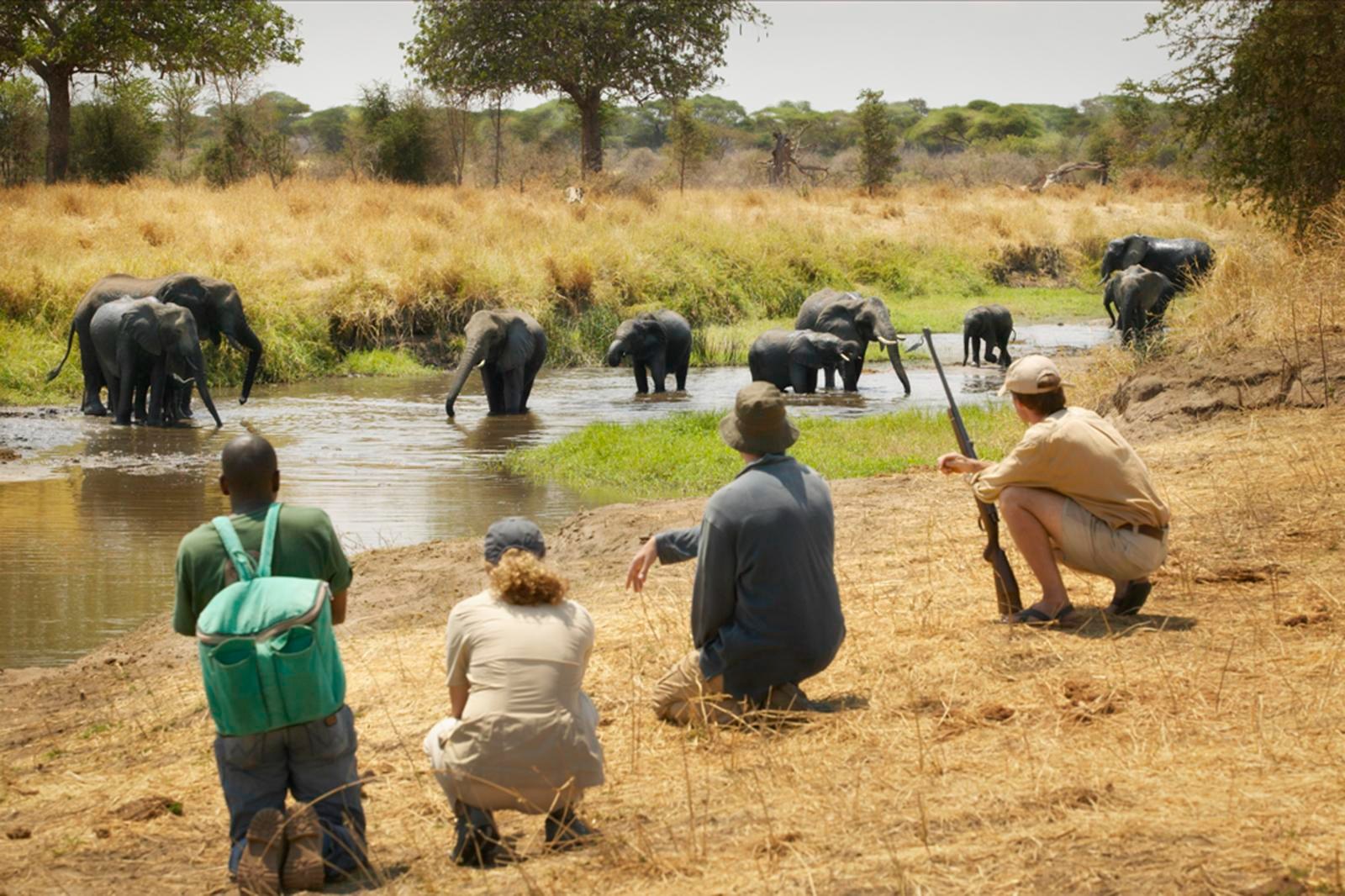 TZ_-_Olivers_Camp_-_Walking_safari.jpg.jpg