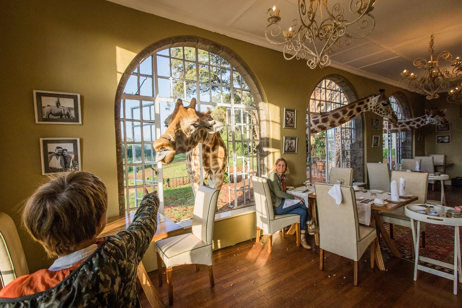 KE-GIRAFFE MANOR - Fun for adults and children alike - copyright-Scott-Ramsay - Copyright Classic Portfolio for.webp