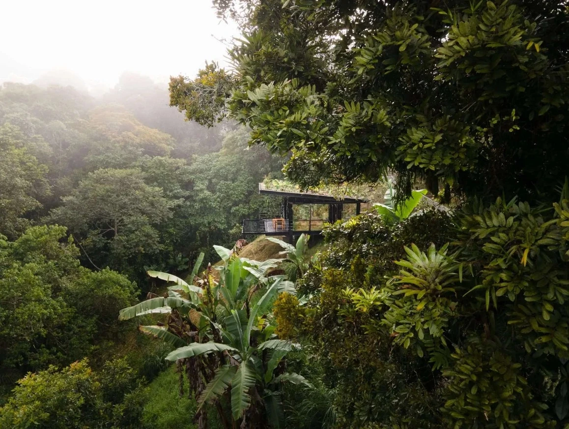 CO-accommodatie-Bio-Habitat-Grand-Master-Suite-Bosque (1).webp