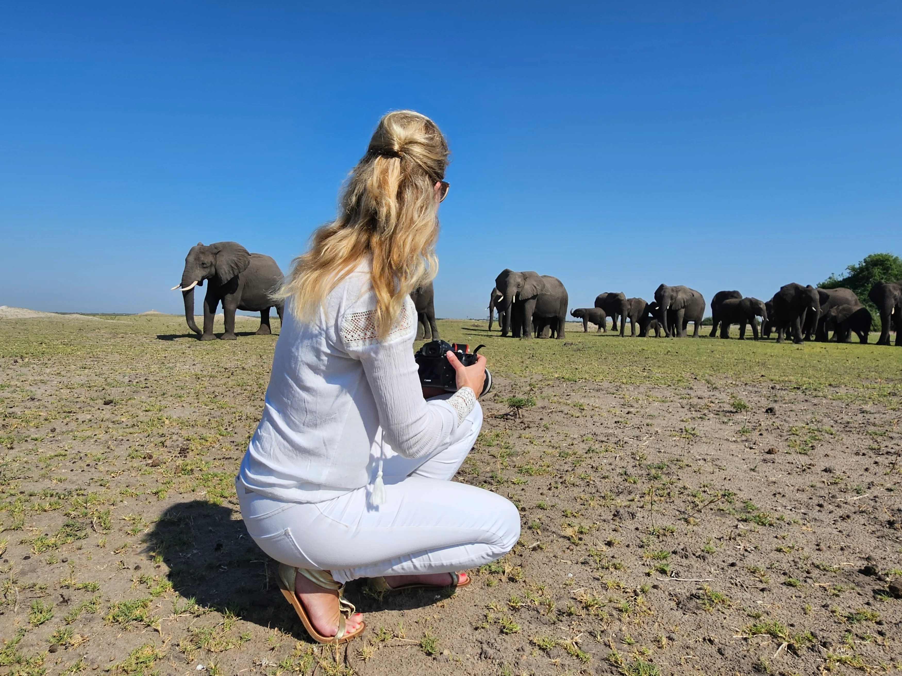 Duba Plains (1).webp