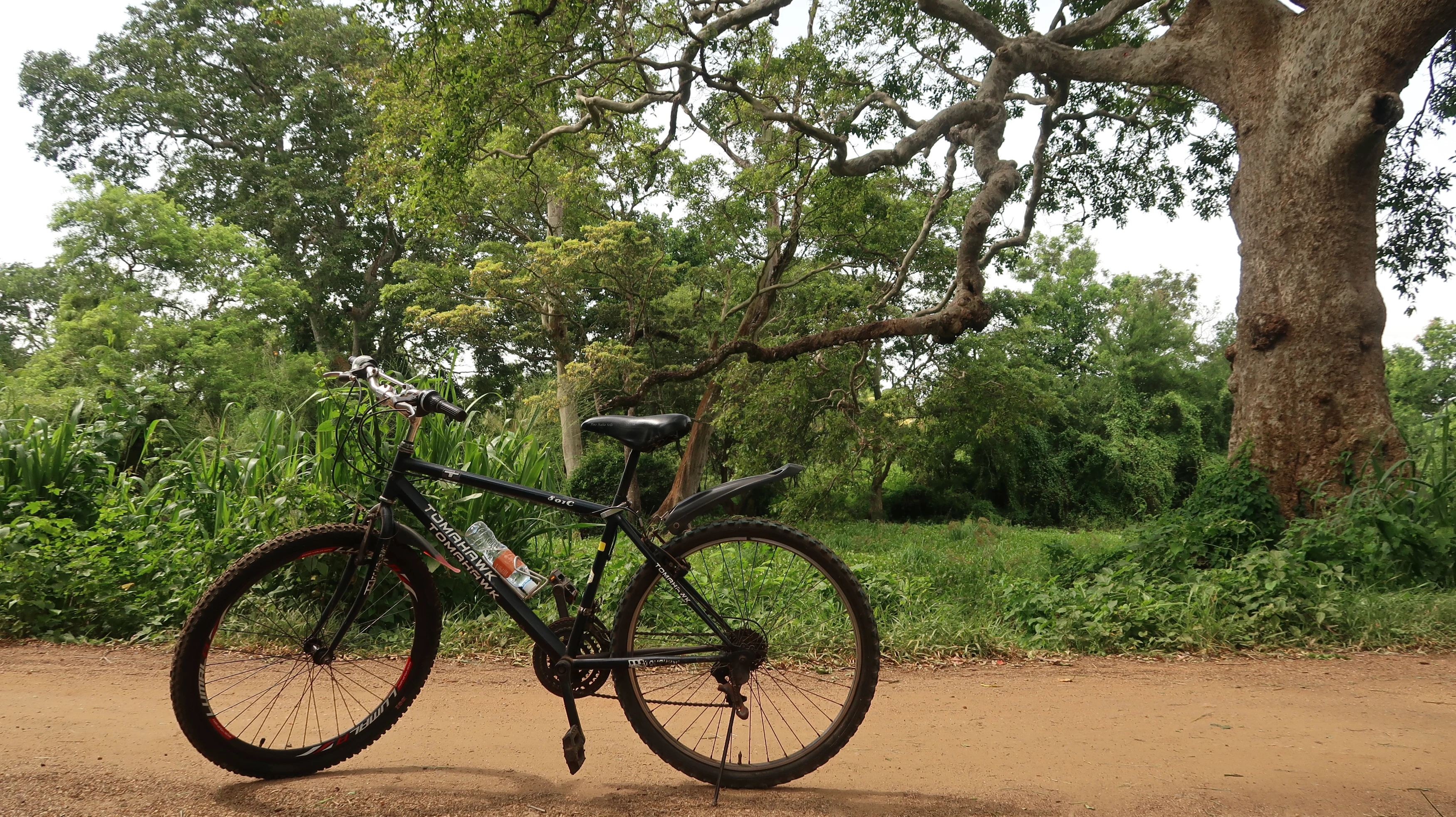 LK - Anuradhapura - Bicycle.webp