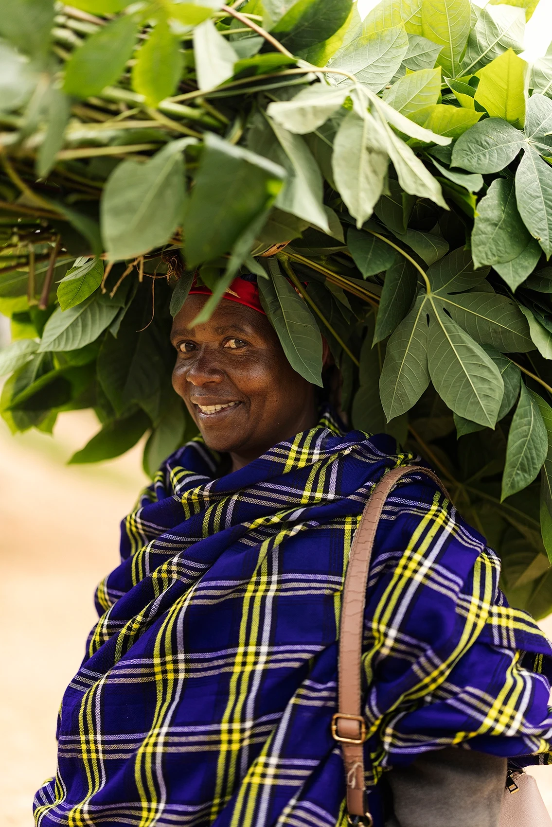 12_Rwanda_ForestofHope_Village_MalouvanBreevoort.webp