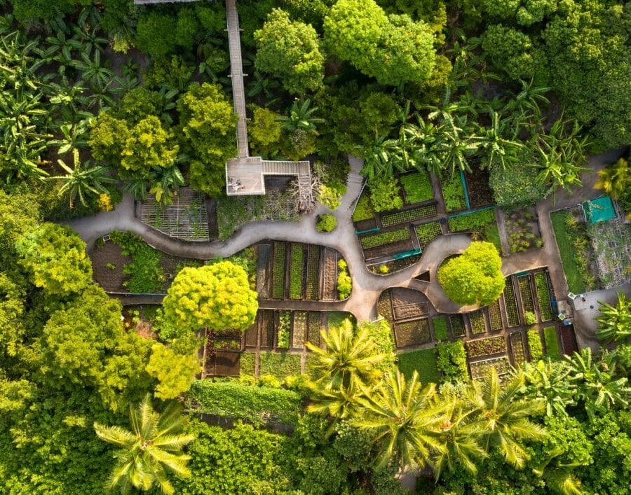 MV-Soneva Secret-Dining.jpg