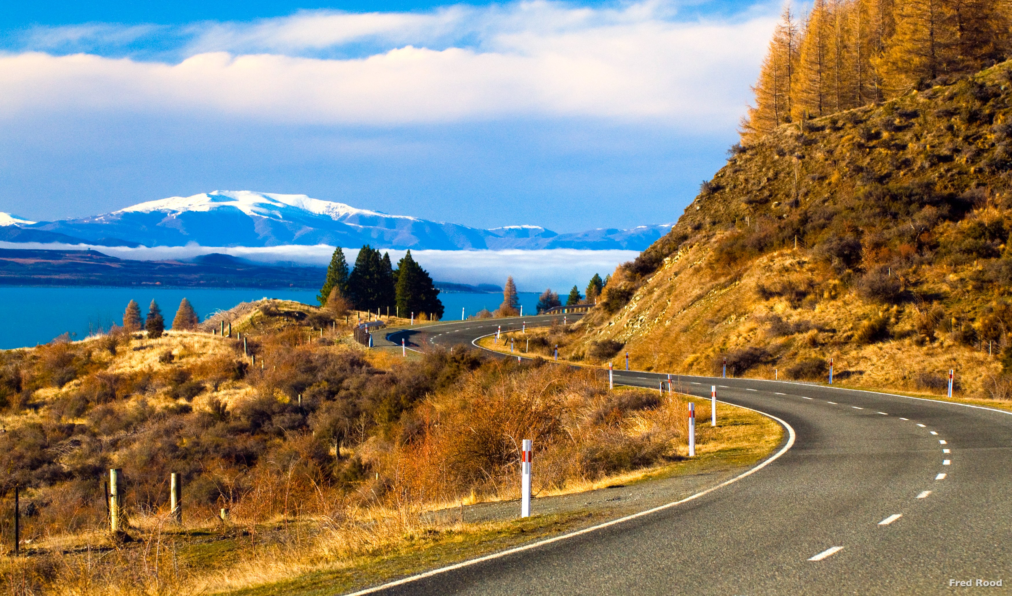 NZ - Wanaka - Road.jpg