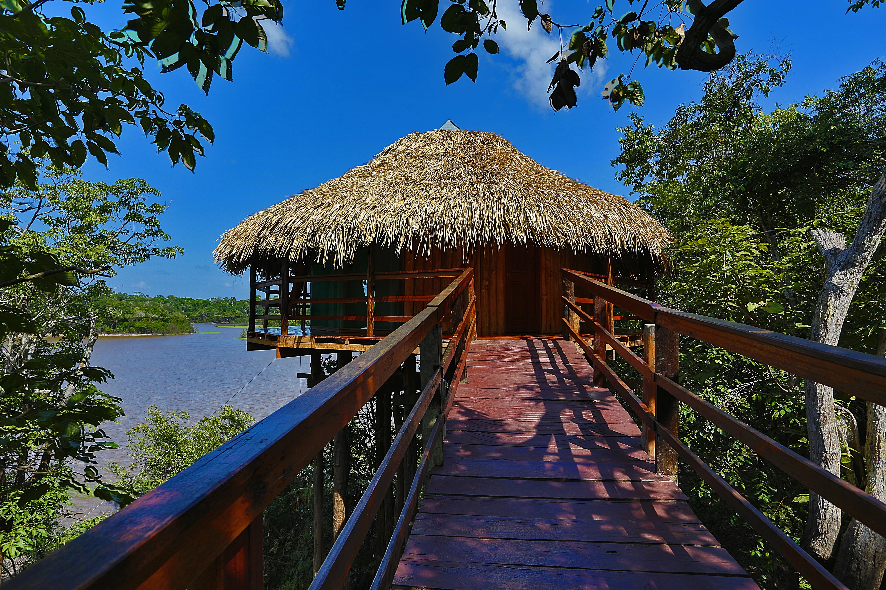 BR - Juma Amazon Lodge - bungalow panoramic (2).webp