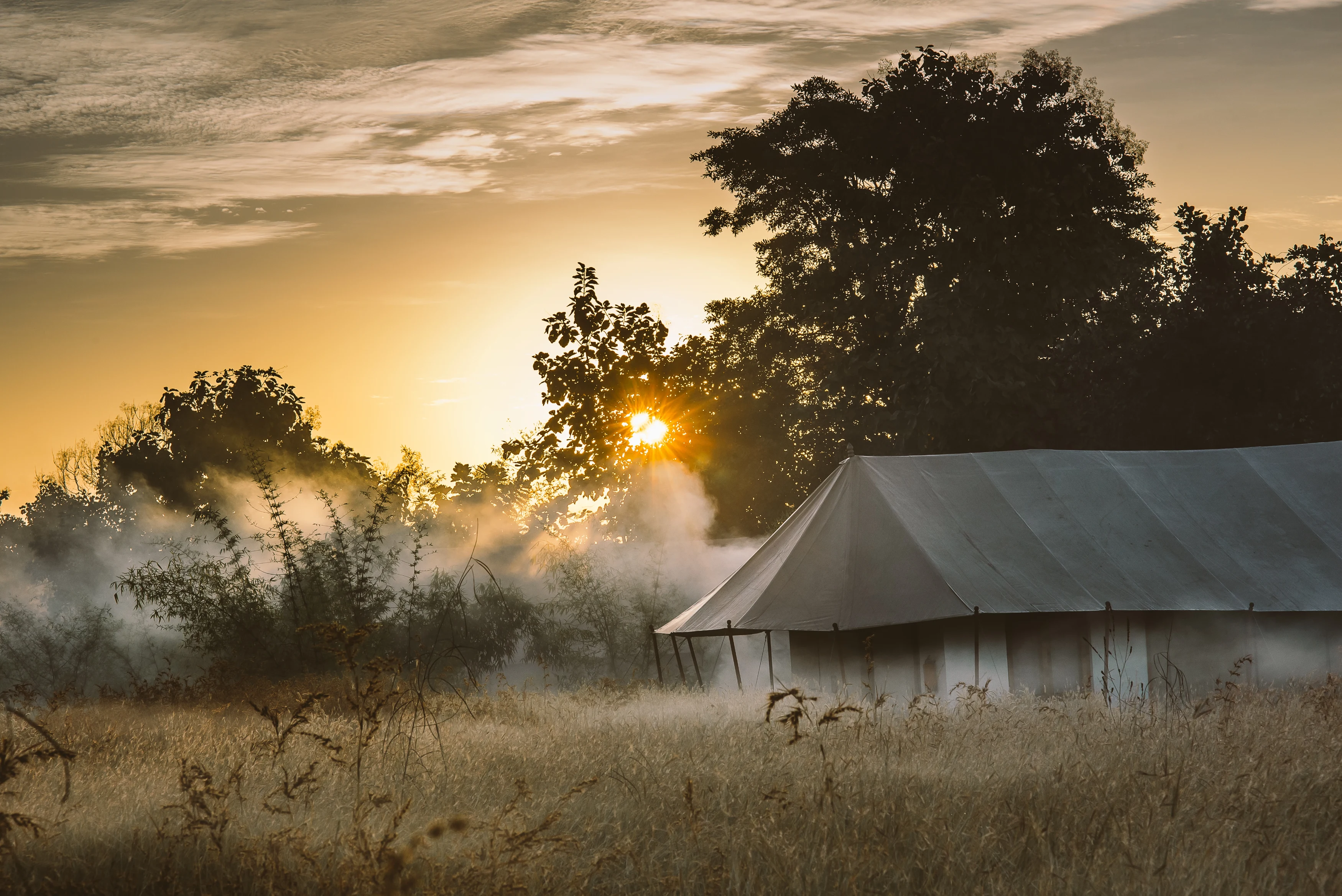 IN-accommodatie-Jamtara-Wilderness-Camp-Luxury-tent.webp