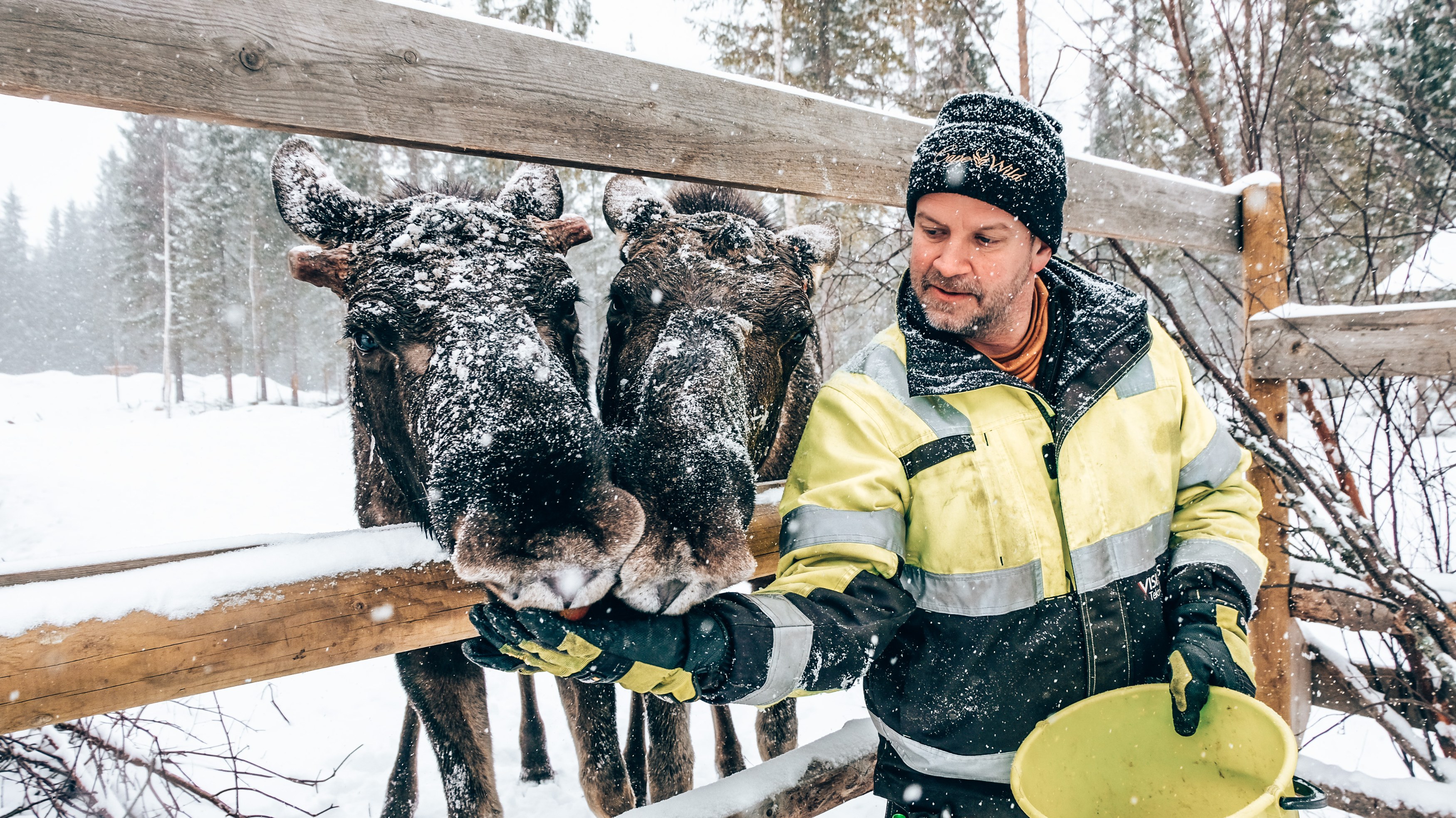 SE-excursie-Meetamoose-beleven.jpg
