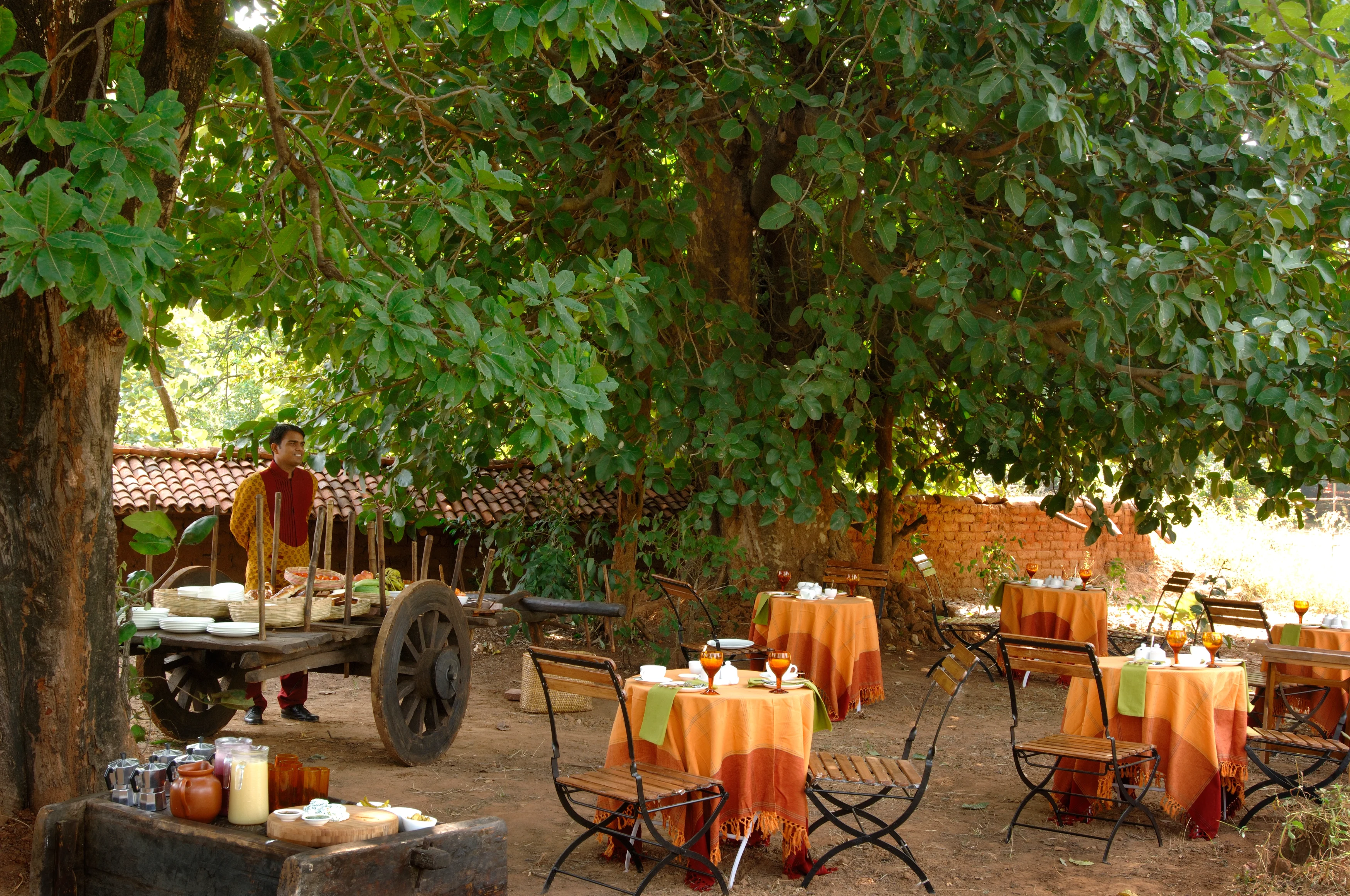 IN - Mahua Kothi Lodge - Outdoor Restaurant.webp
