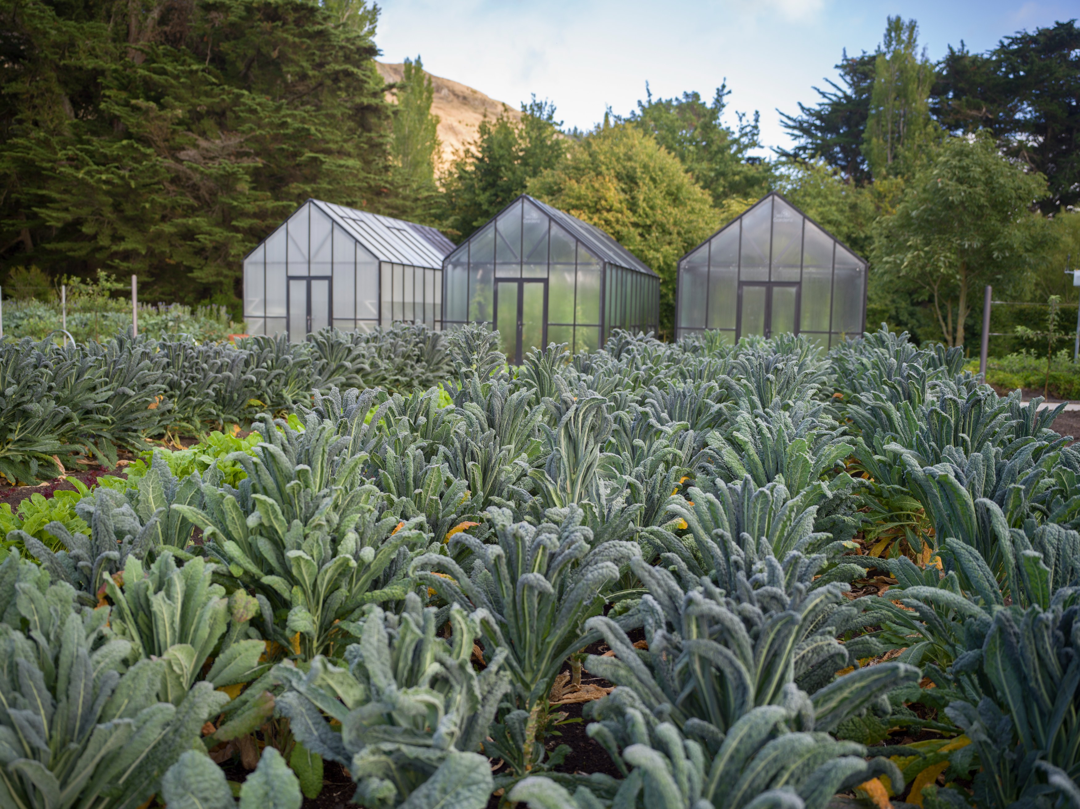NZ-Accommodatie-Craggy-Range-Kitchen-Garden.JPG