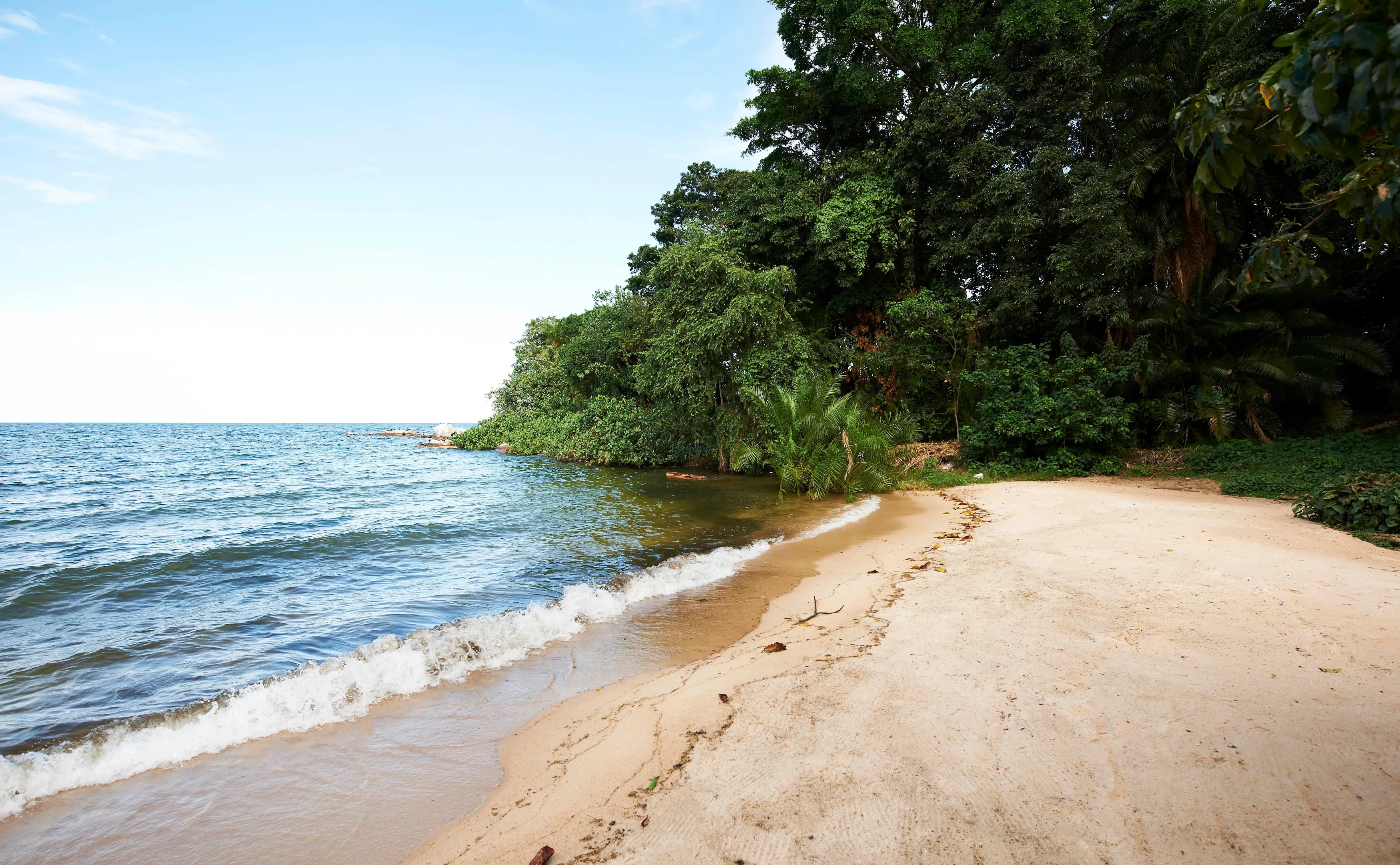 TZ - Rubondo-Island-Camp-beach-Tanzania-Safari.webp