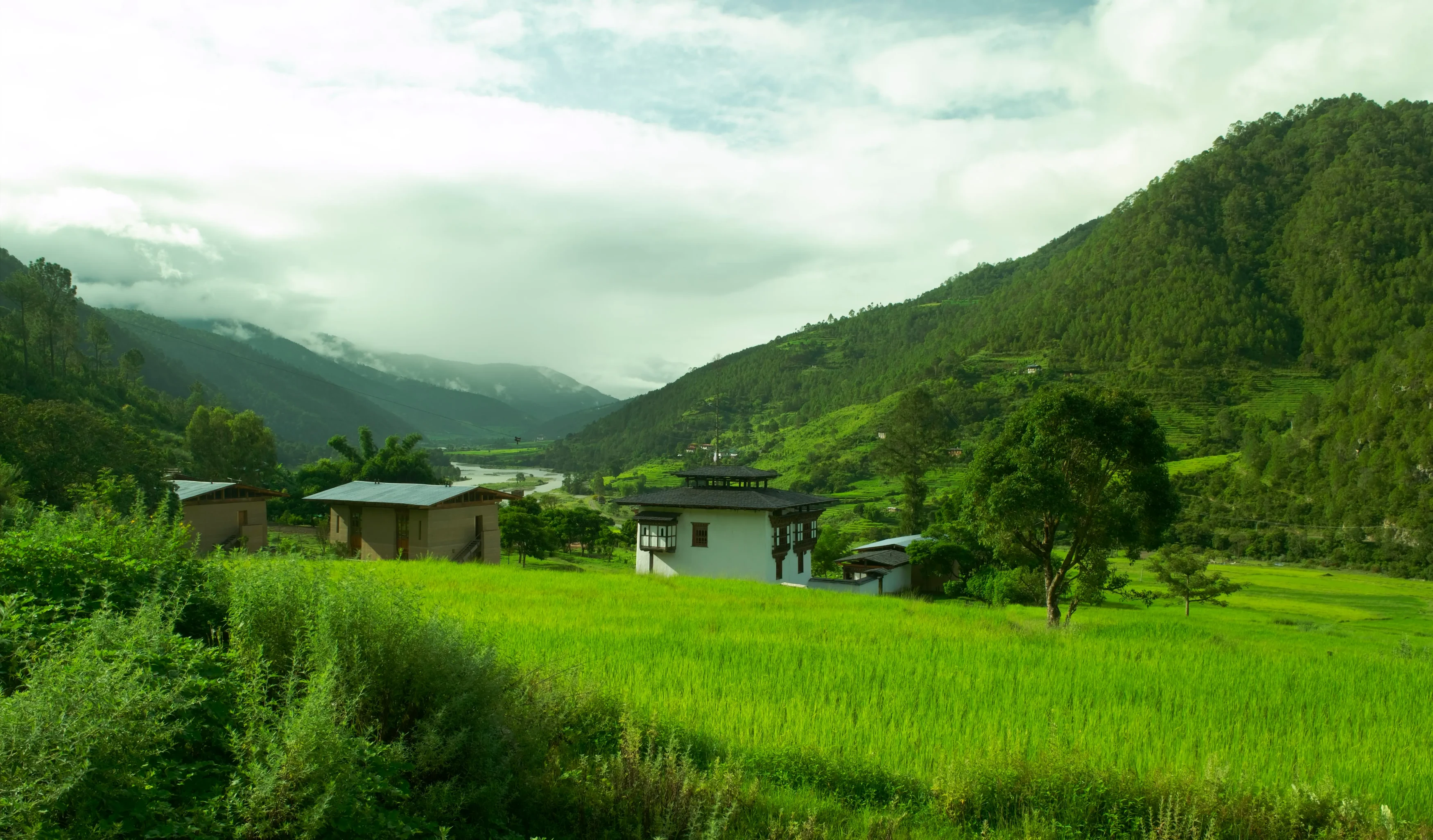 BT - Amankora Punakha - Exterior, surrounding, rice fields.webp