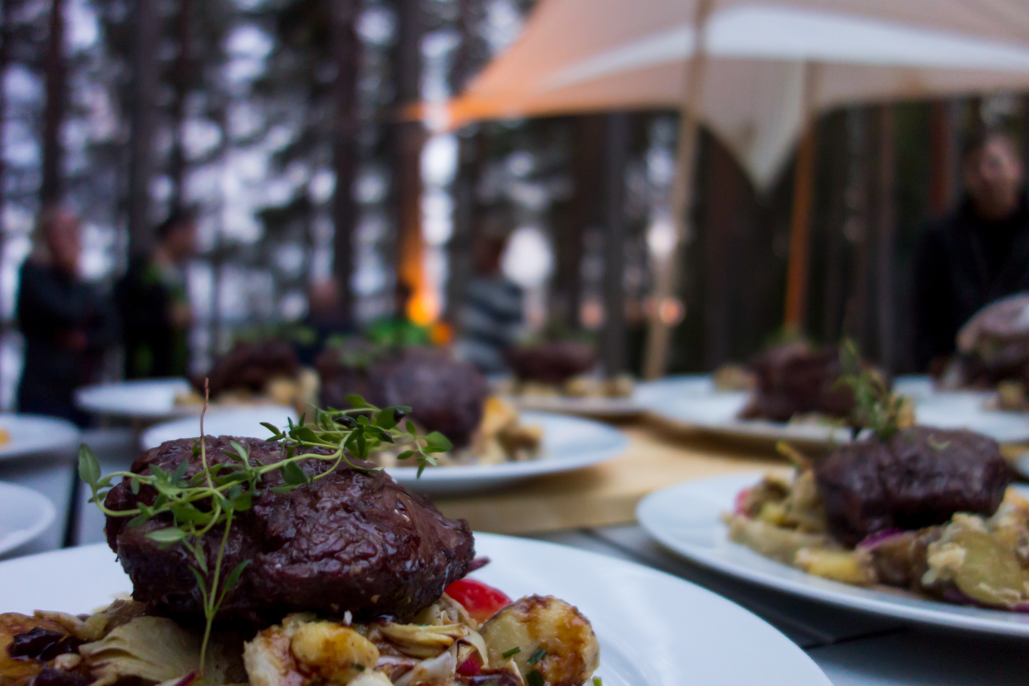 SE - Aurora Safari Camp - Food-1.jpg