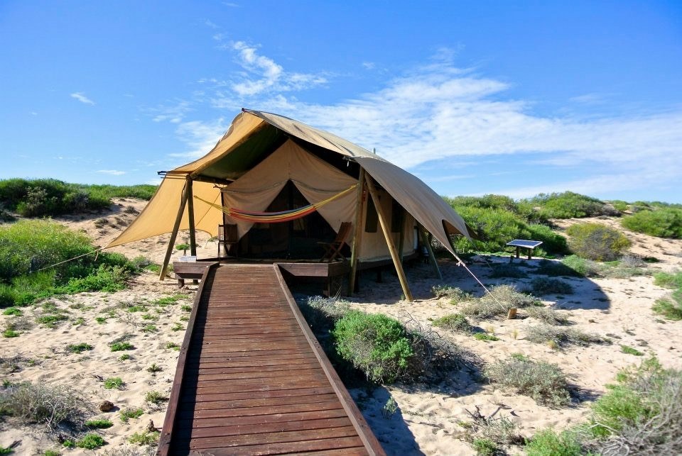 AU - Sal Salis - Tent.JPG